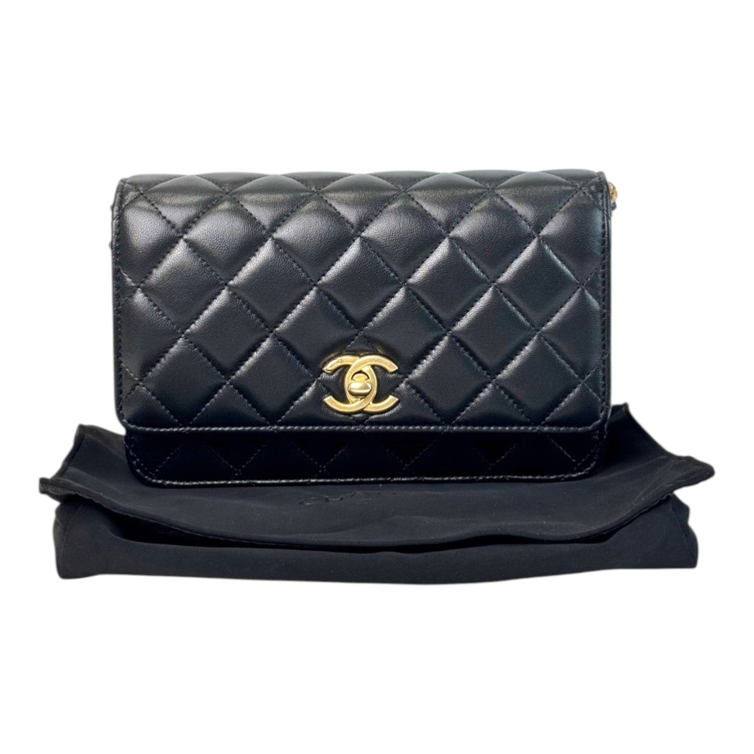 Chanel Chanel Black Woc Double Chain Pearl Crush Bag