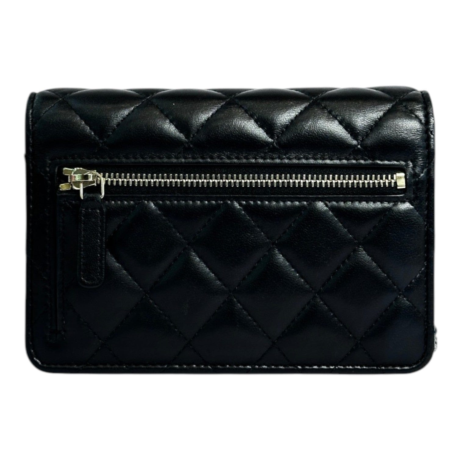 Chanel Chanel Classic Flap Mini Coco WOC