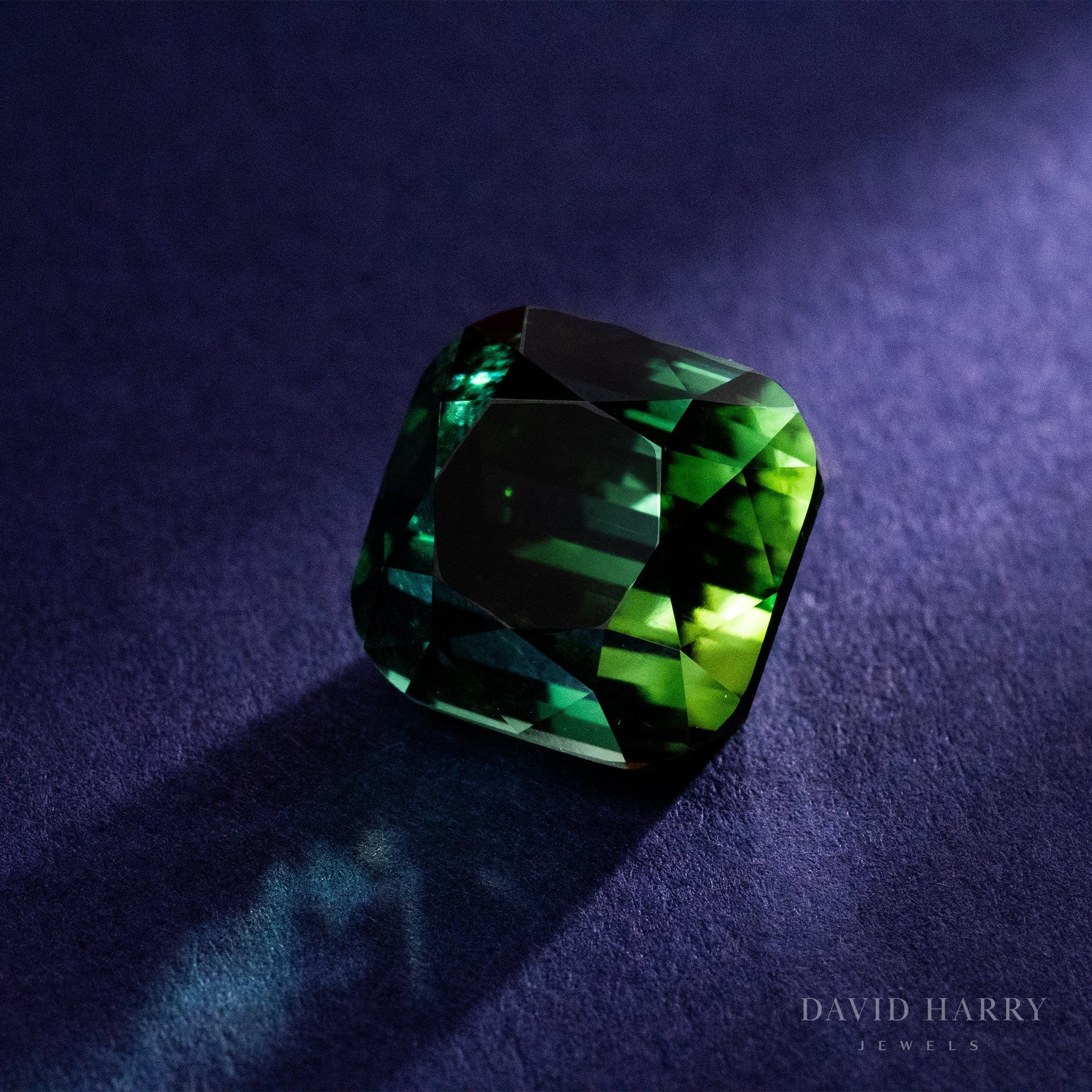 David Harry Jewels 15.85ct Pamir Green Tourmaline