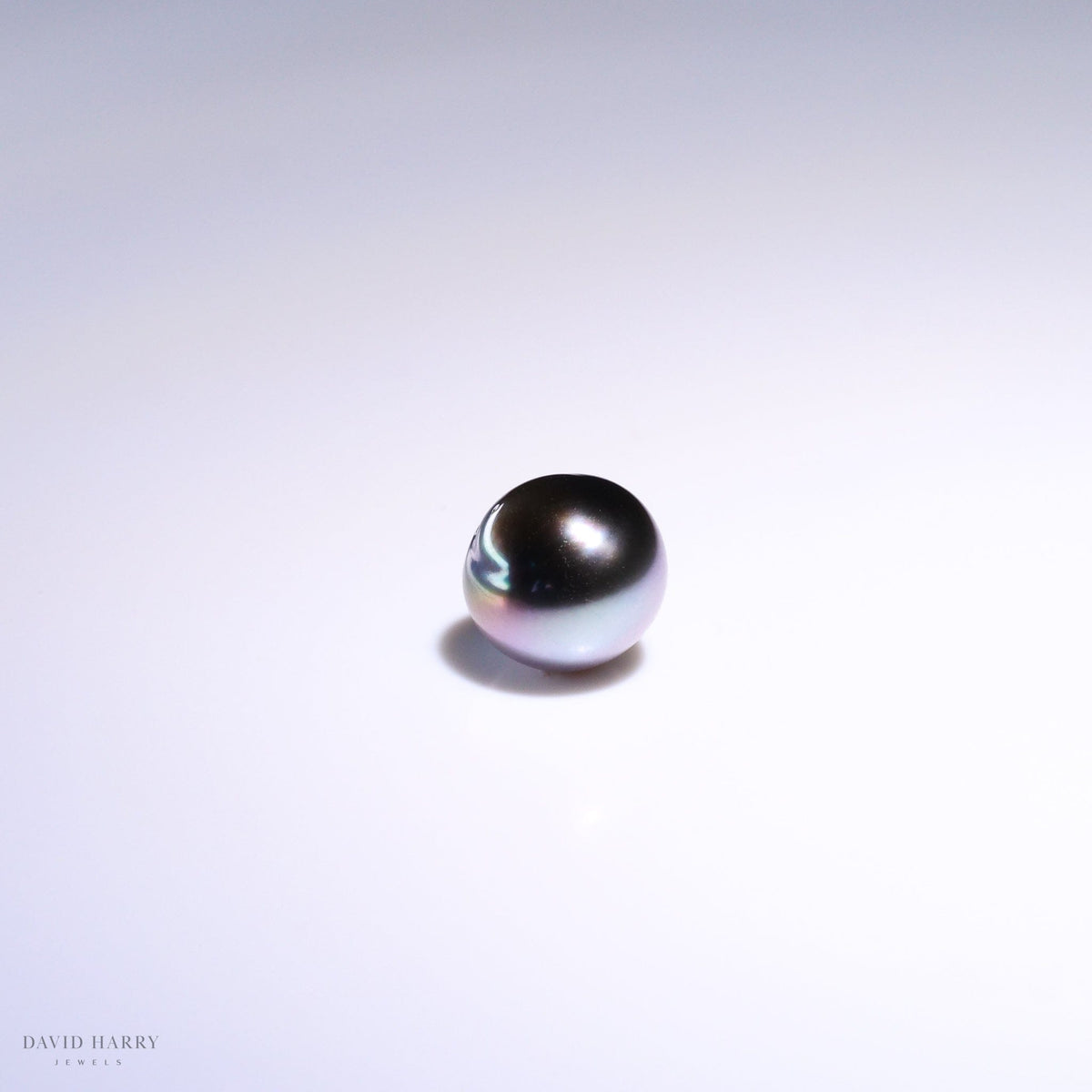 David Harry Jewels 11 x 10.2mm Dark Grey Tahitian Pearl