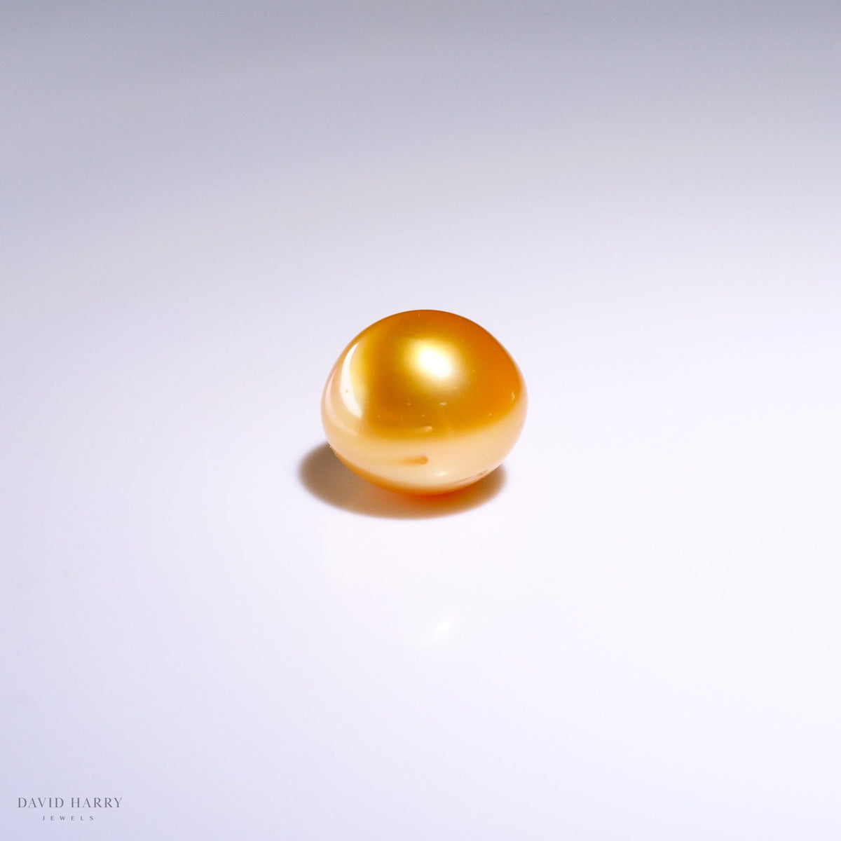 David Harry Jewels 14.25mm Golden South Sea Pearl