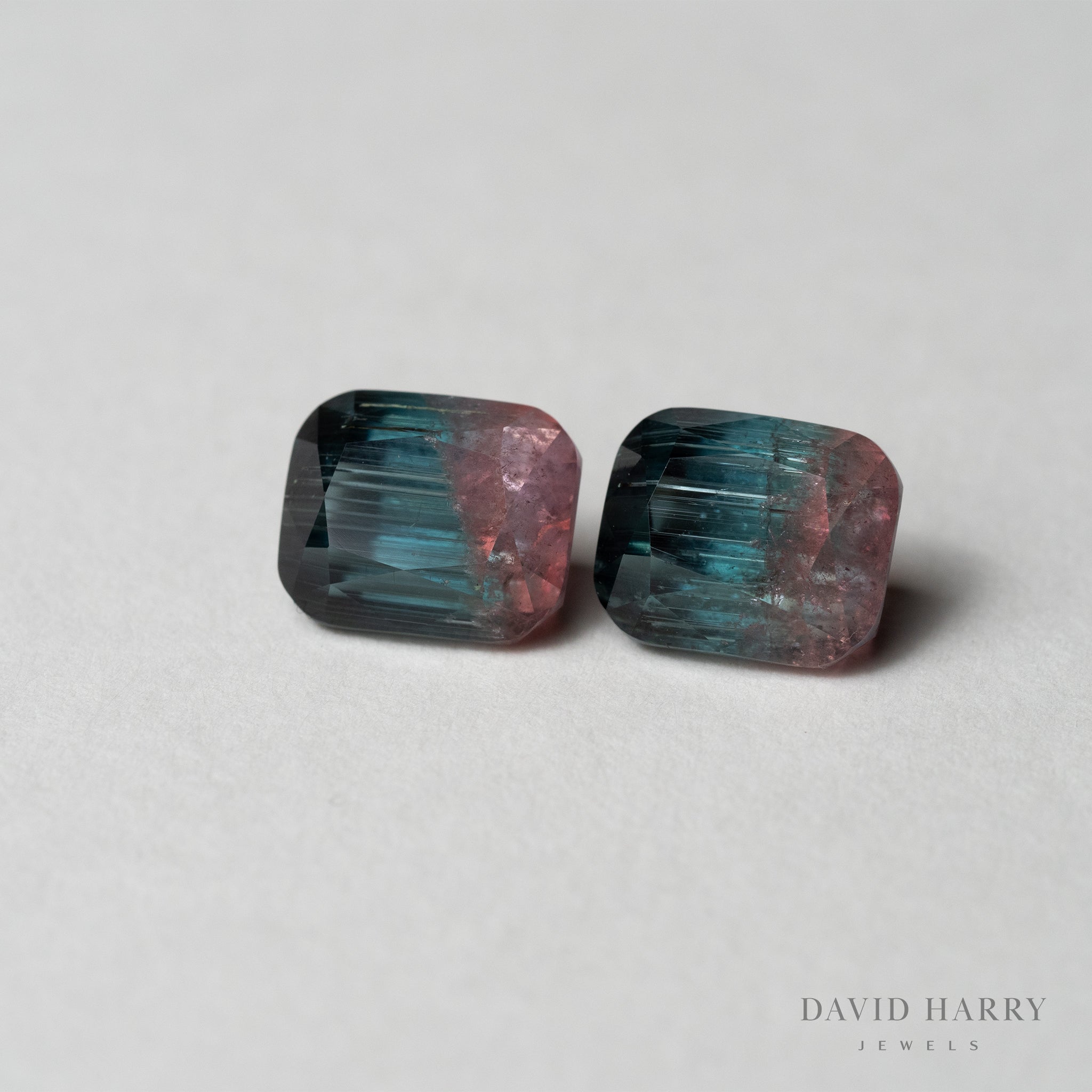 David Harry Jewels 5.55ct Pamir Bicolour Indicolite and Rubellite Tourmaline Pair