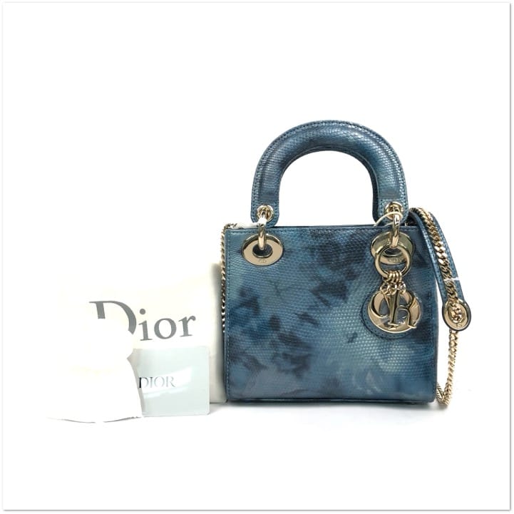 Dior Dior Lizard Lady Dior with Champagne Gold Hardware C19494975209