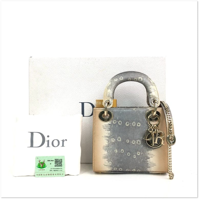 Dior Dior Lizard Lady Dior with Champagne Gold Hardware C19496318605