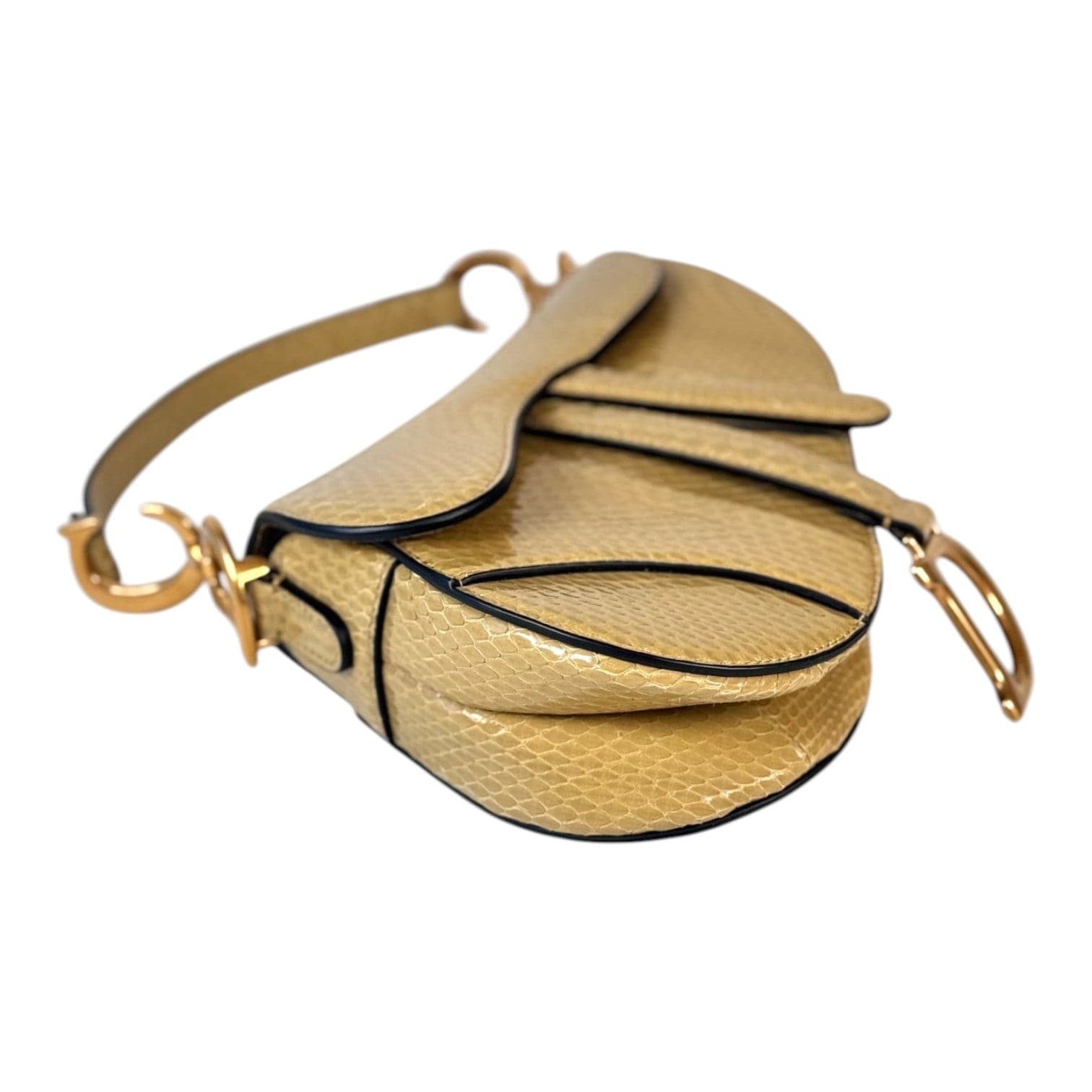 Dior Dior Saddle Mini Python Bag