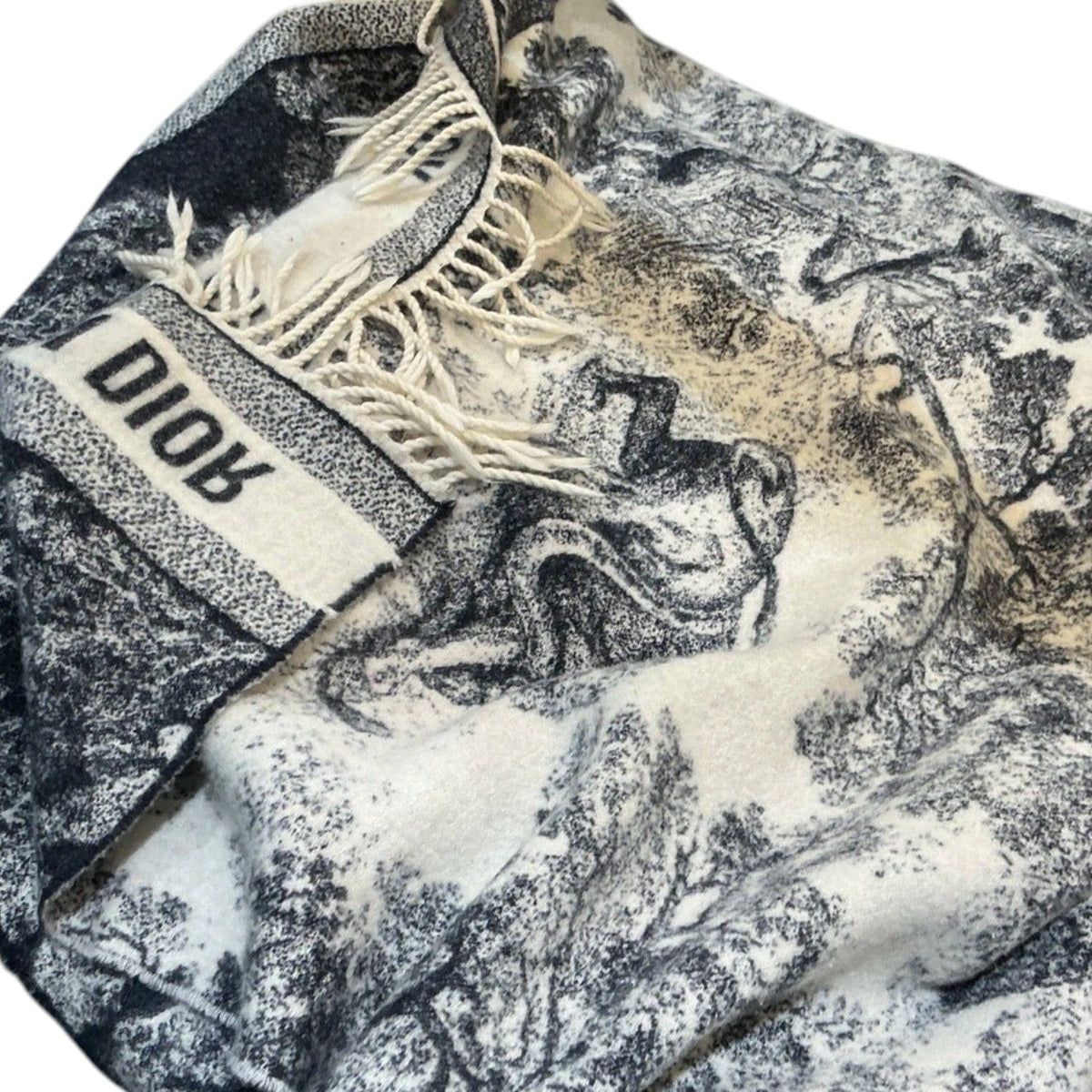Dior Dior Toile De Jouy Long Cashmere Scarf