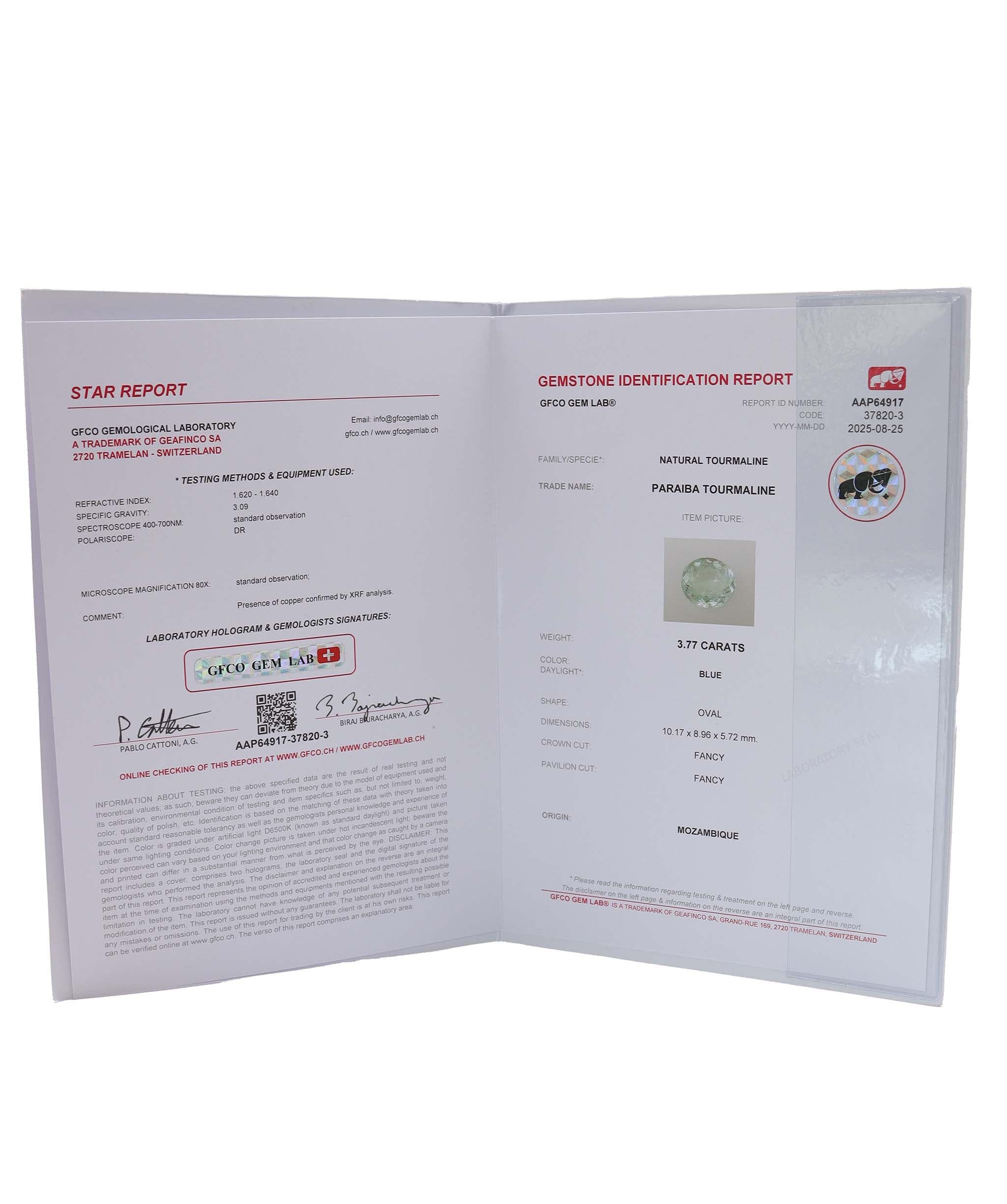 Goyard Goyard Black Canvas Small Tote Bag ALC2958