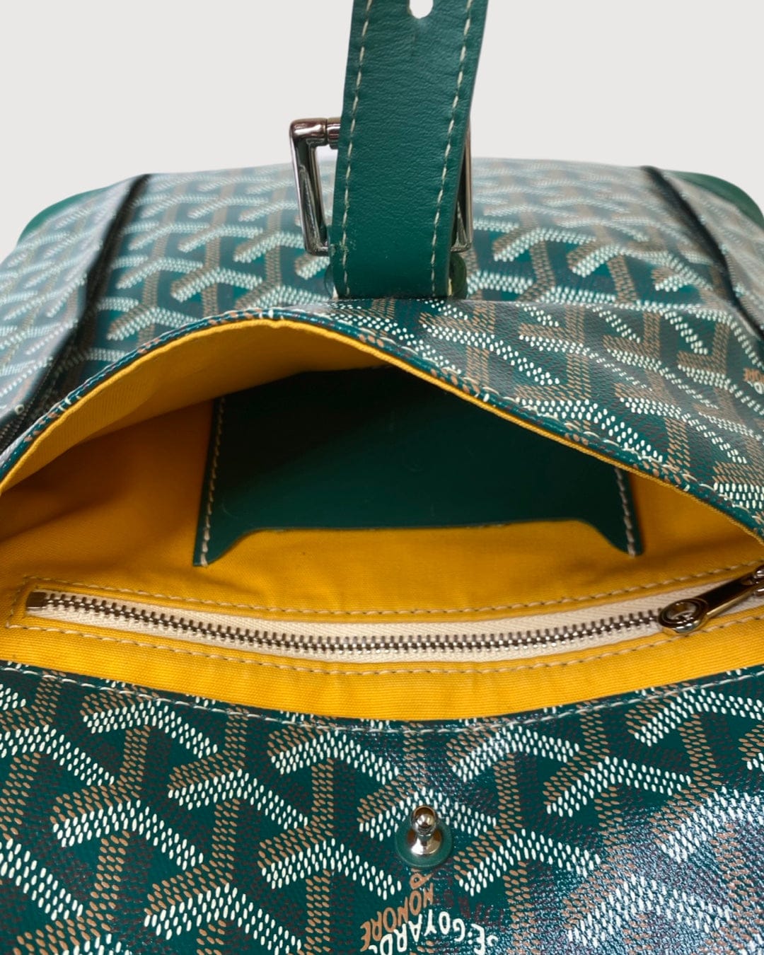 Goyard Goyard Rucksack Green