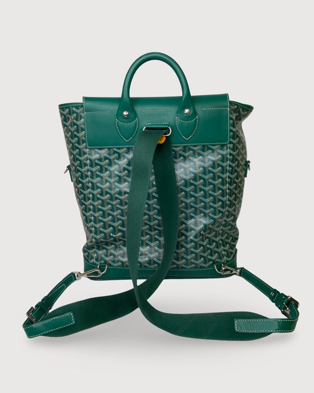 Goyard Goyard Rucksack Green