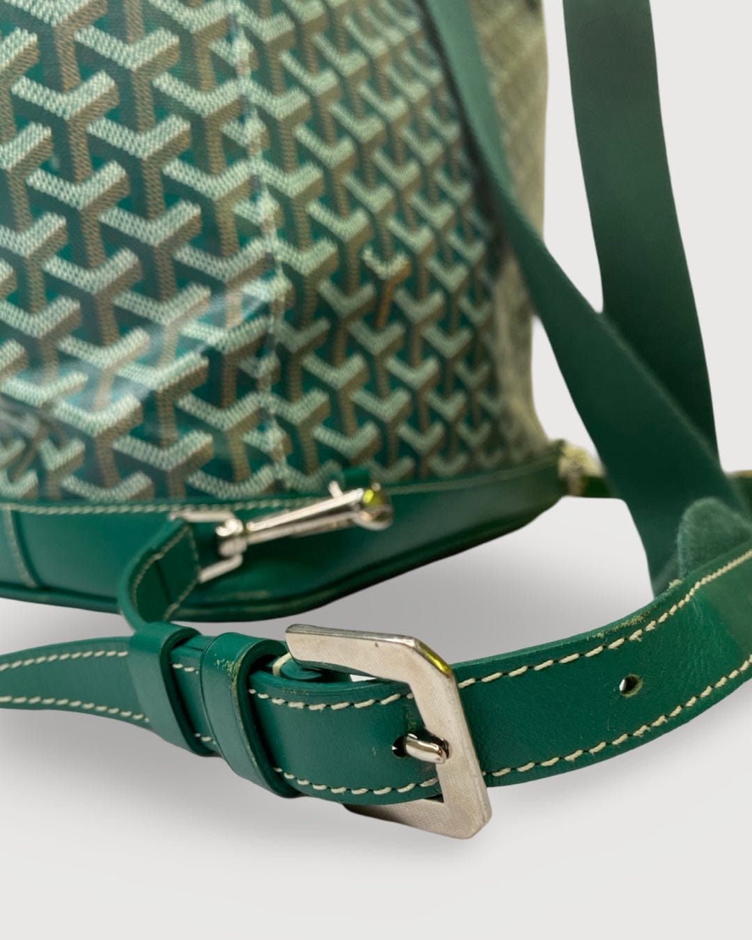 Goyard Goyard Rucksack Green