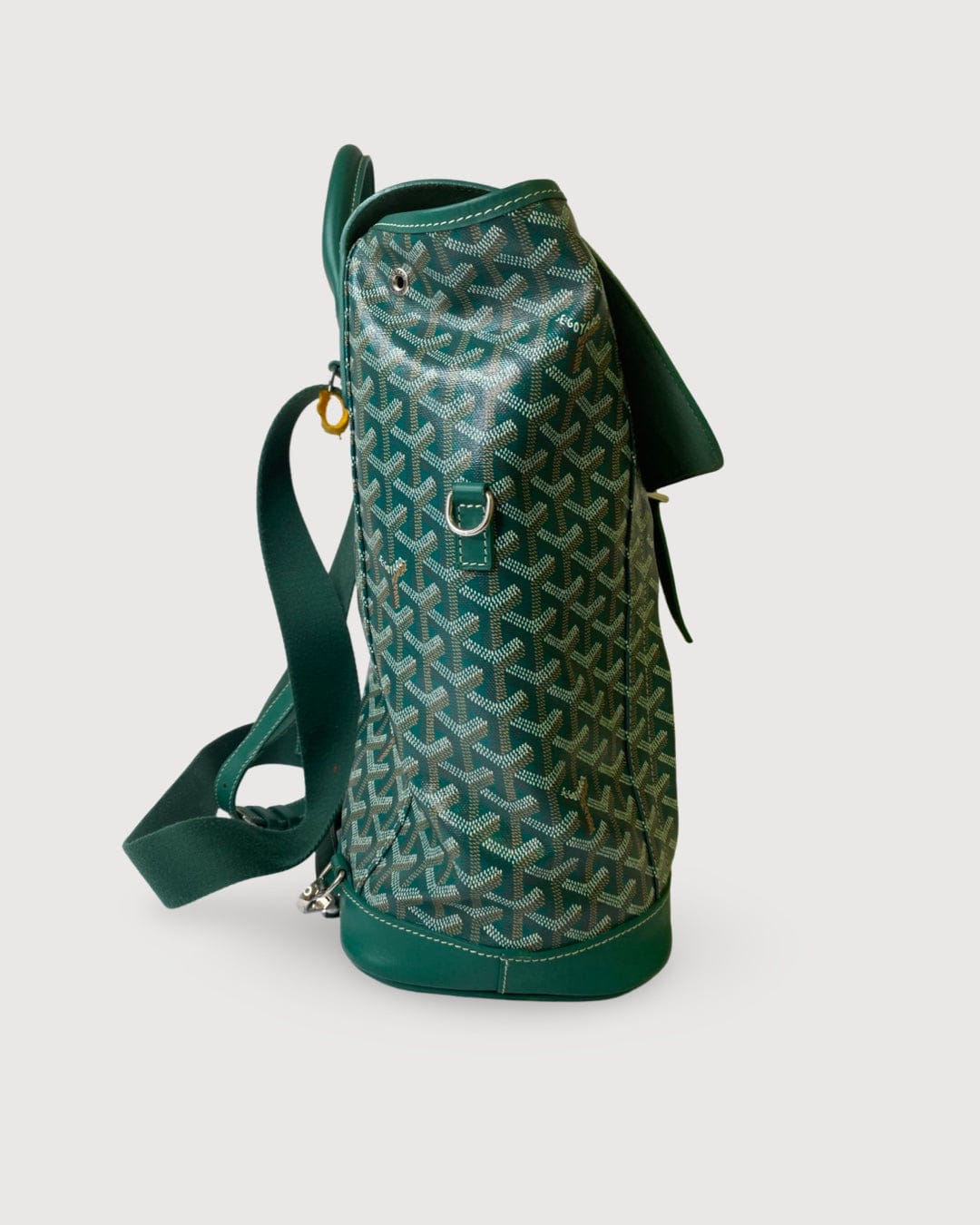 Goyard Goyard Rucksack Green