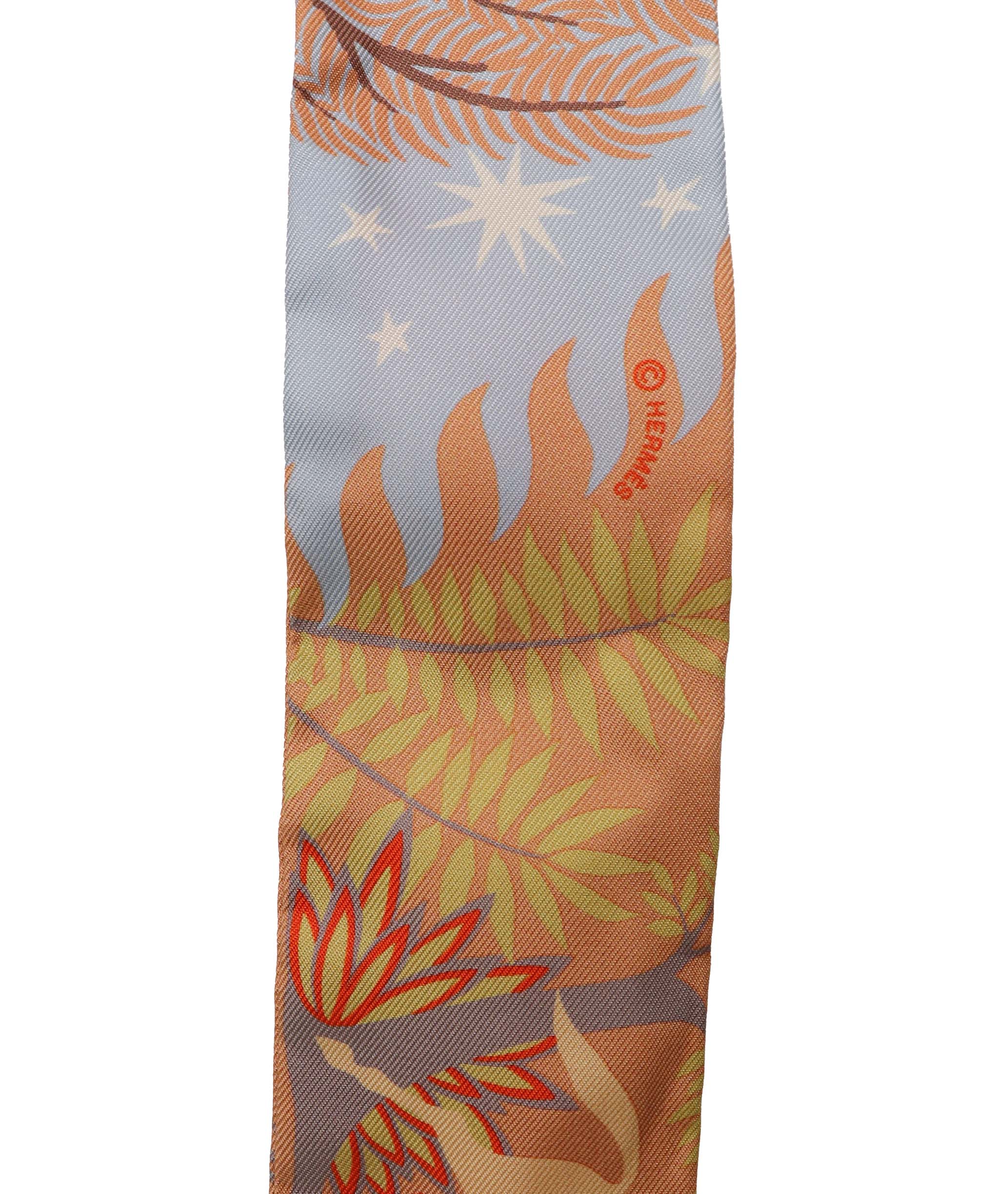 Hermès Hermes Twilly 01TWL881