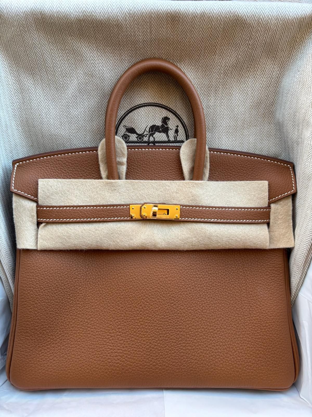 Hermes Birkin 25 GHW Togo/Gold G stamp (2026) Full Set incl authentication ALTC0766