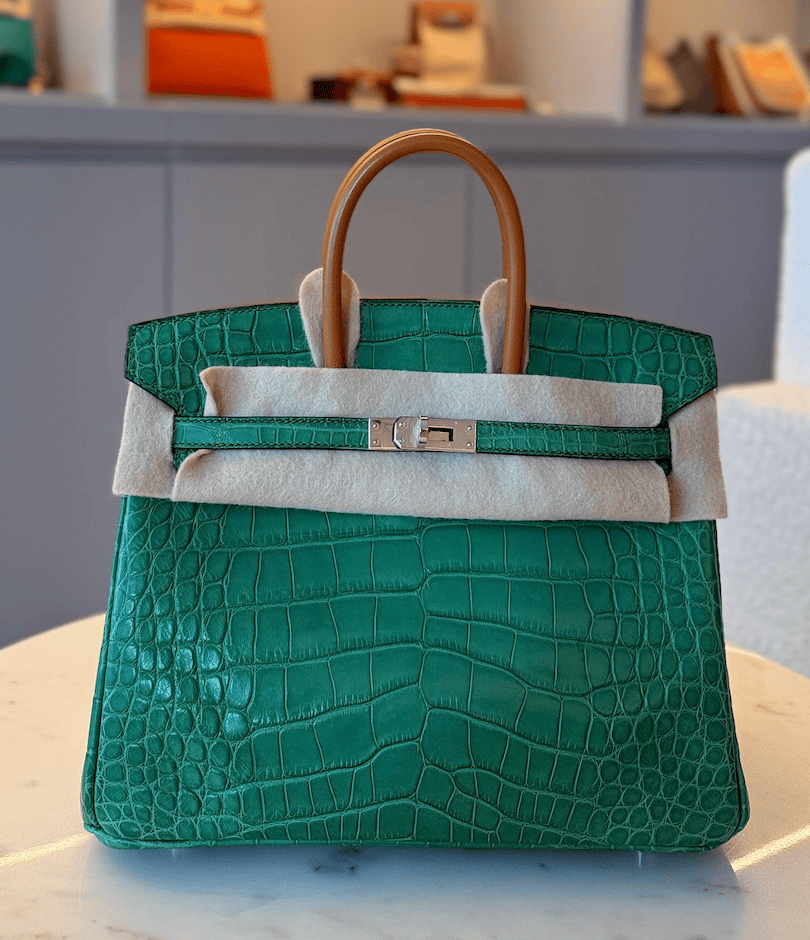 Hermès Birkin Limited Edition 25 Matte Cactus with Veau Butler Handles AGC3539