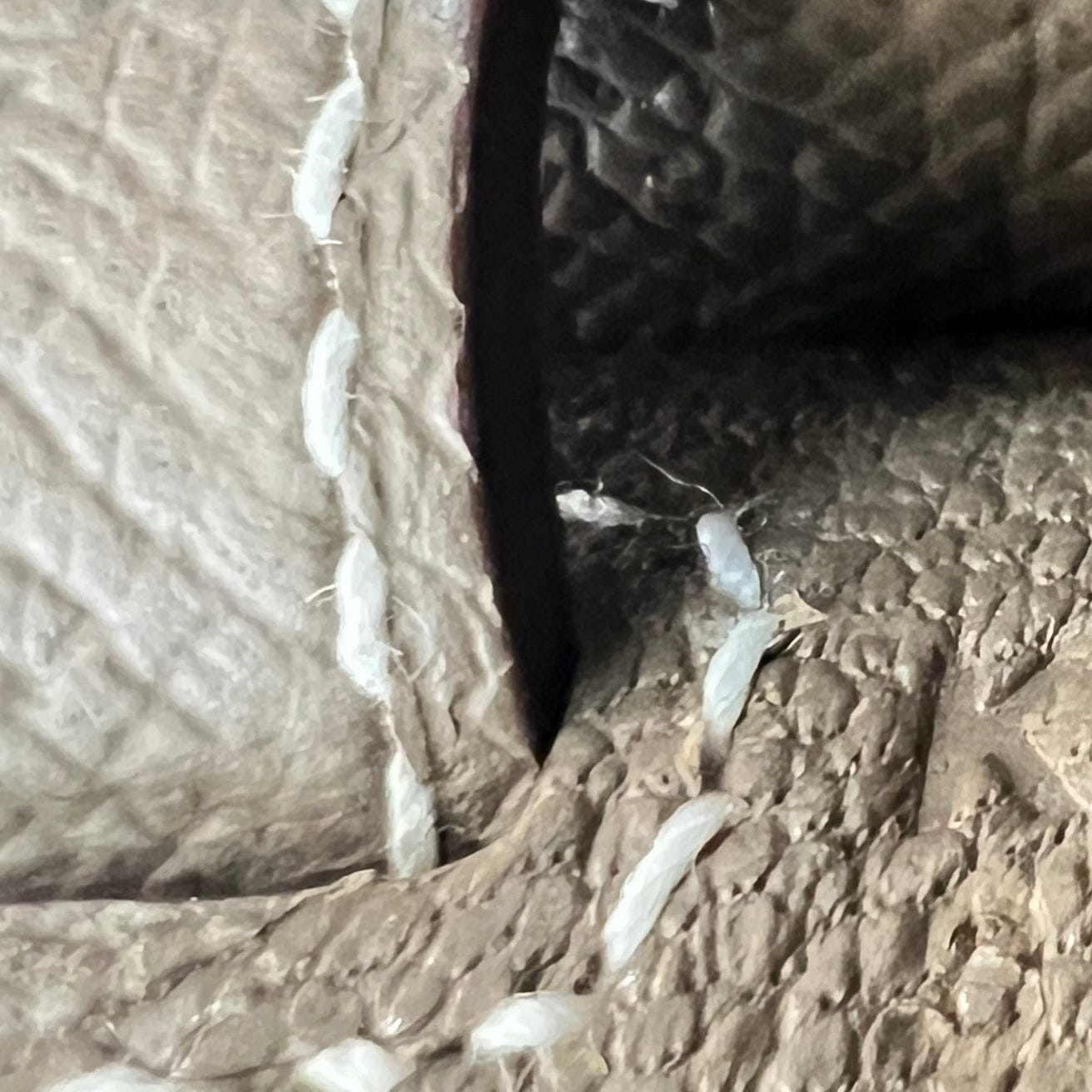 Hermès Kelly25 Etoupe Epsom GHW K B-334277