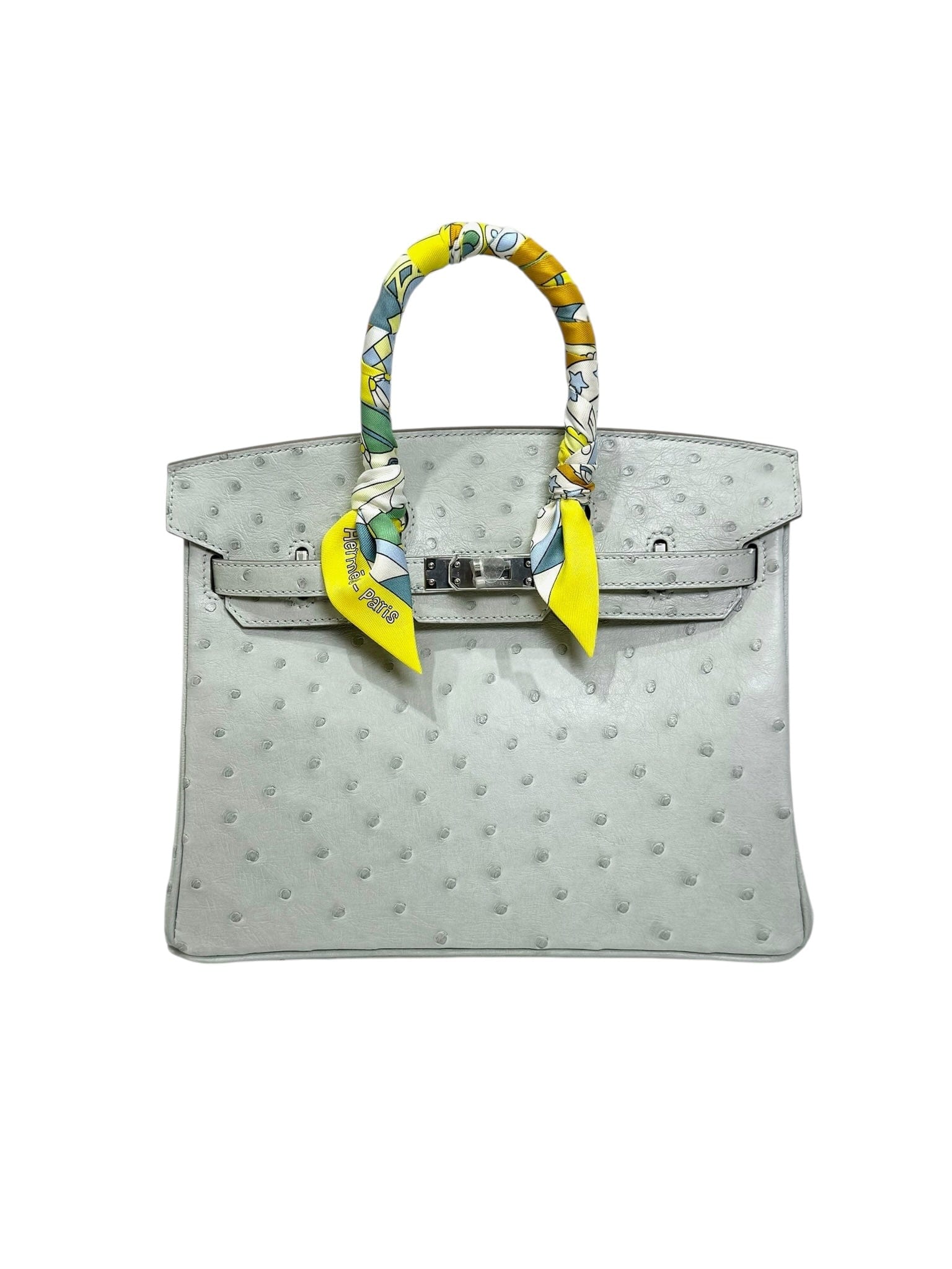 Hermes Hermes Birkin 25 Gris Perle Ostrich - U Stamp Full Set