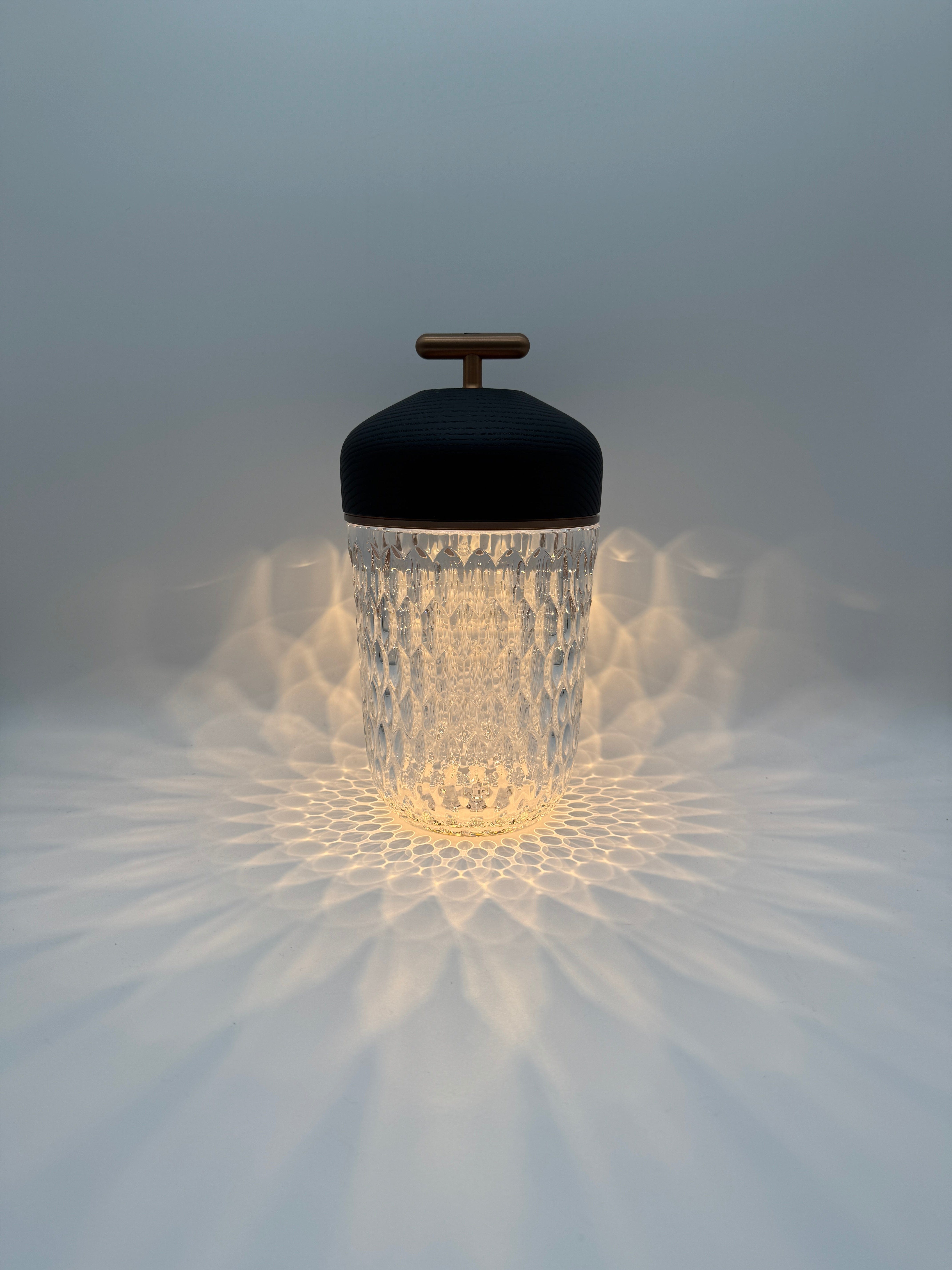 Hermès Saint-Louis Folia Portable Lamp Black Wood Bronze Anodized