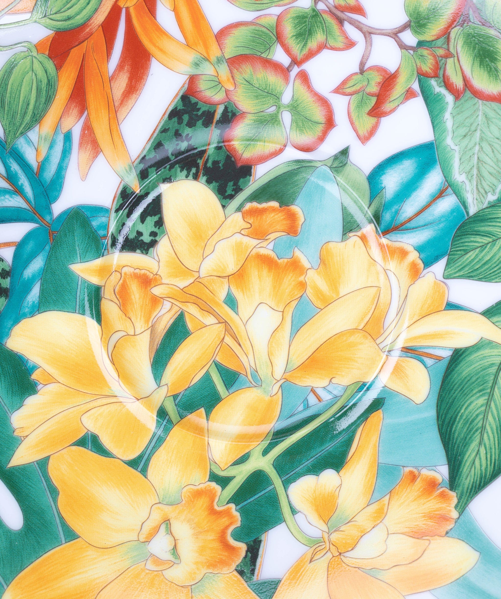 Hermès Hermes Passifolia Cups and Saucers NIB ALC2630