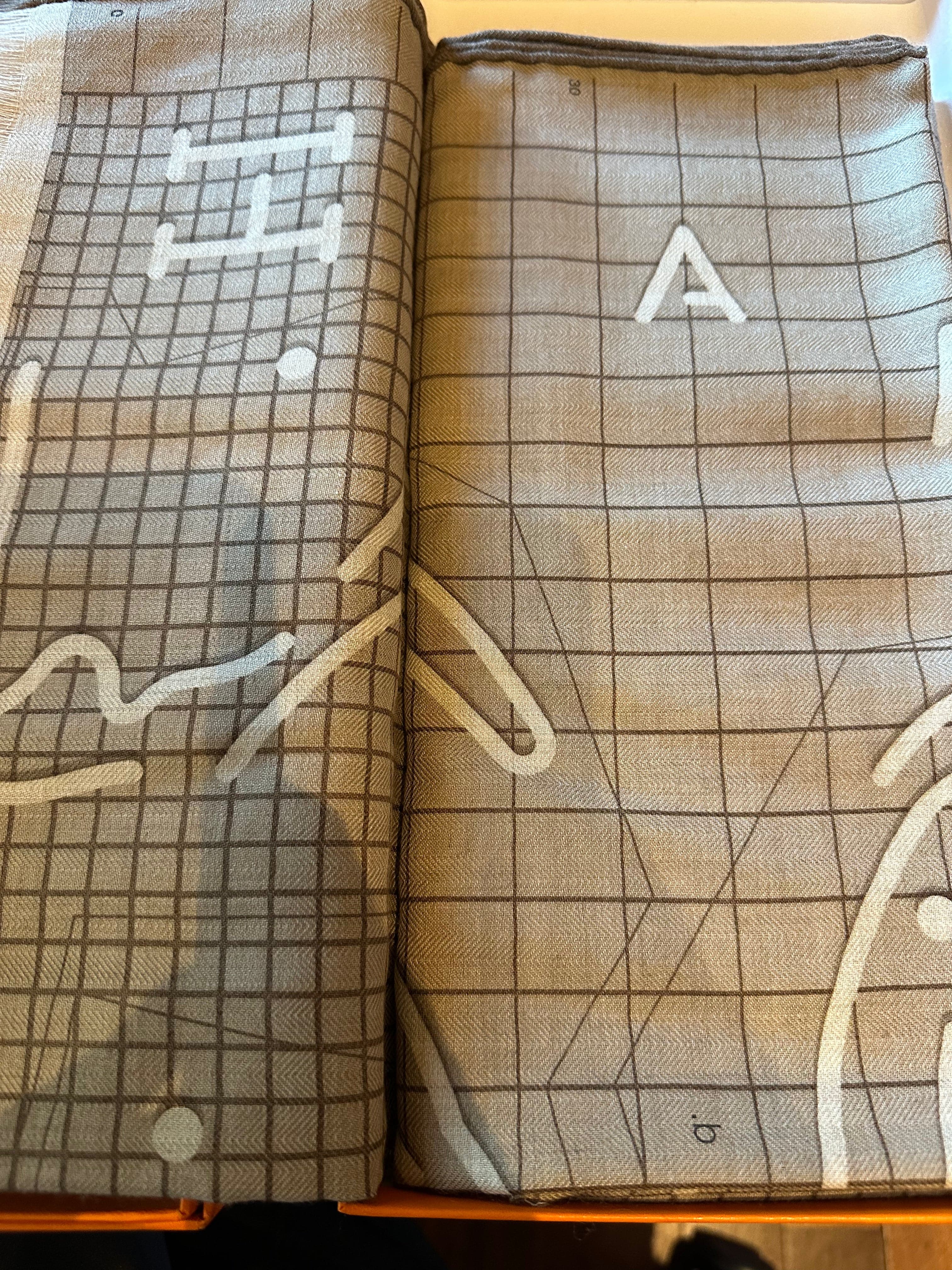 Hermes Hermes Rectangle Cashmere/Silk Large Scarf - in Box