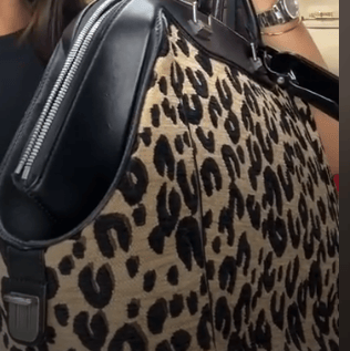 Louis Vuitton L26040883 LV North South Handba Leopard Print