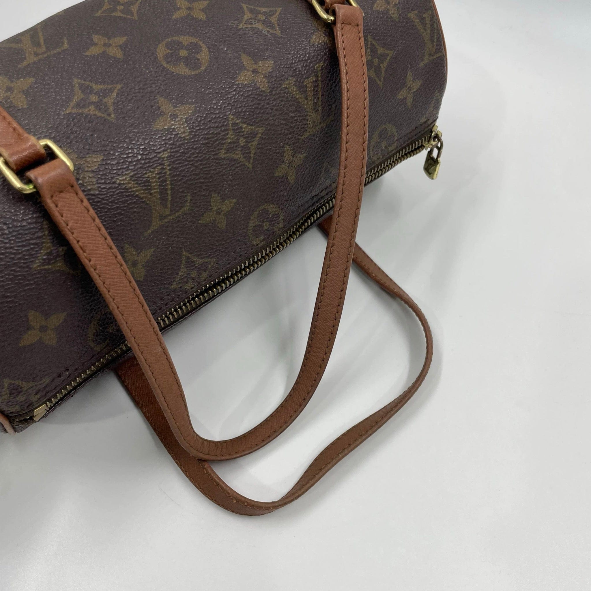 Louis Vuitton Louis Vuitton Papillon 26 Canvas Bag