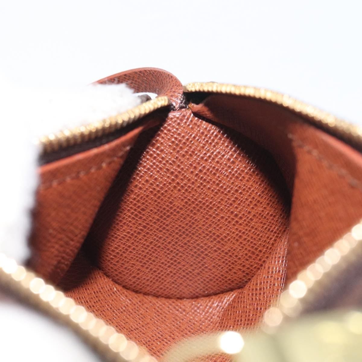 Louis Vuitton Louis Vuitton Papillon Pochette