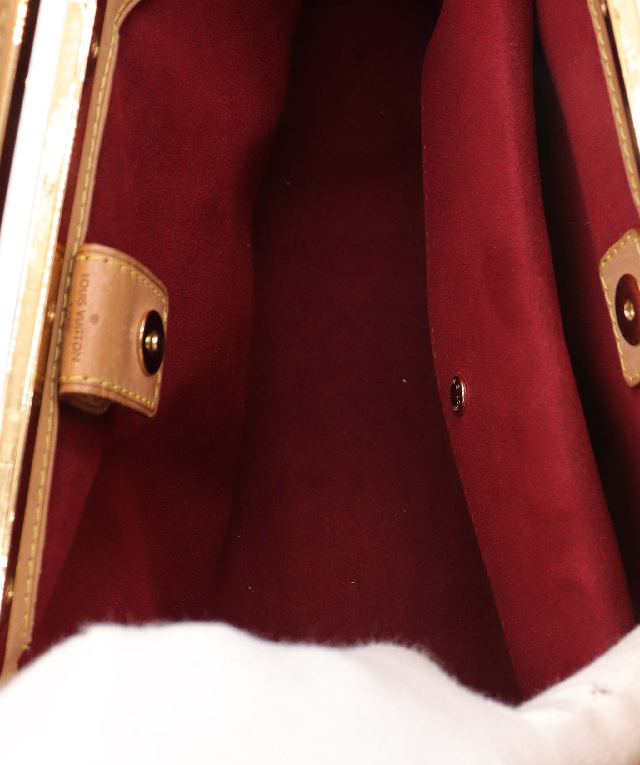 Louis Vuitton Louis Vuitton Bag AGC3006