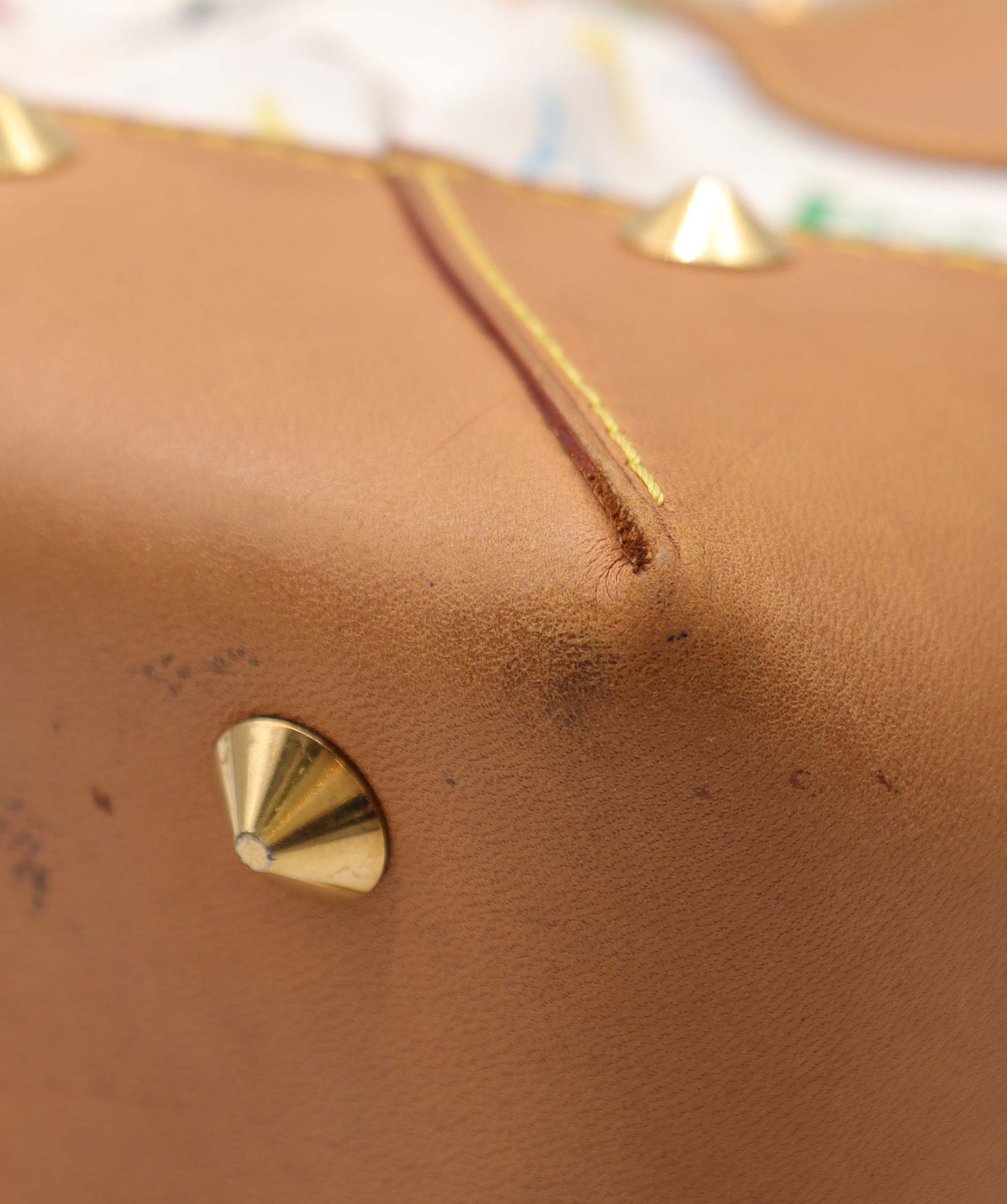 Louis Vuitton Louis Vuitton Bag AGC3006