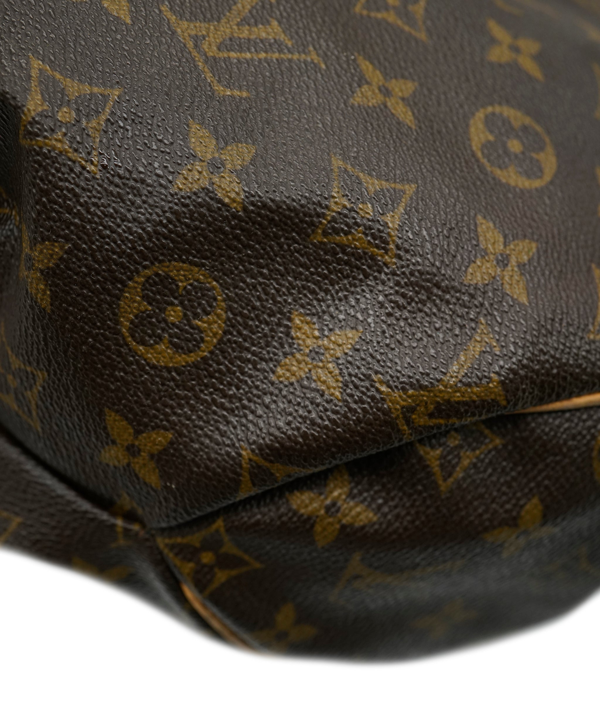 Louis Vuitton Louis Vuitton Monogram Hobo Bag AGC3015