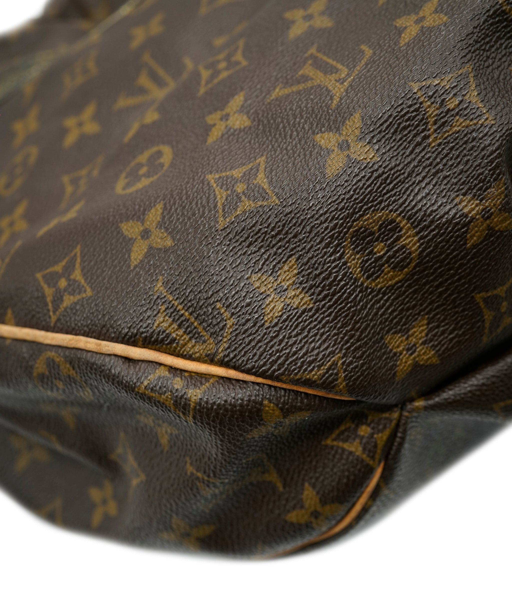 Louis Vuitton Louis Vuitton Monogram Hobo Bag AGC3015