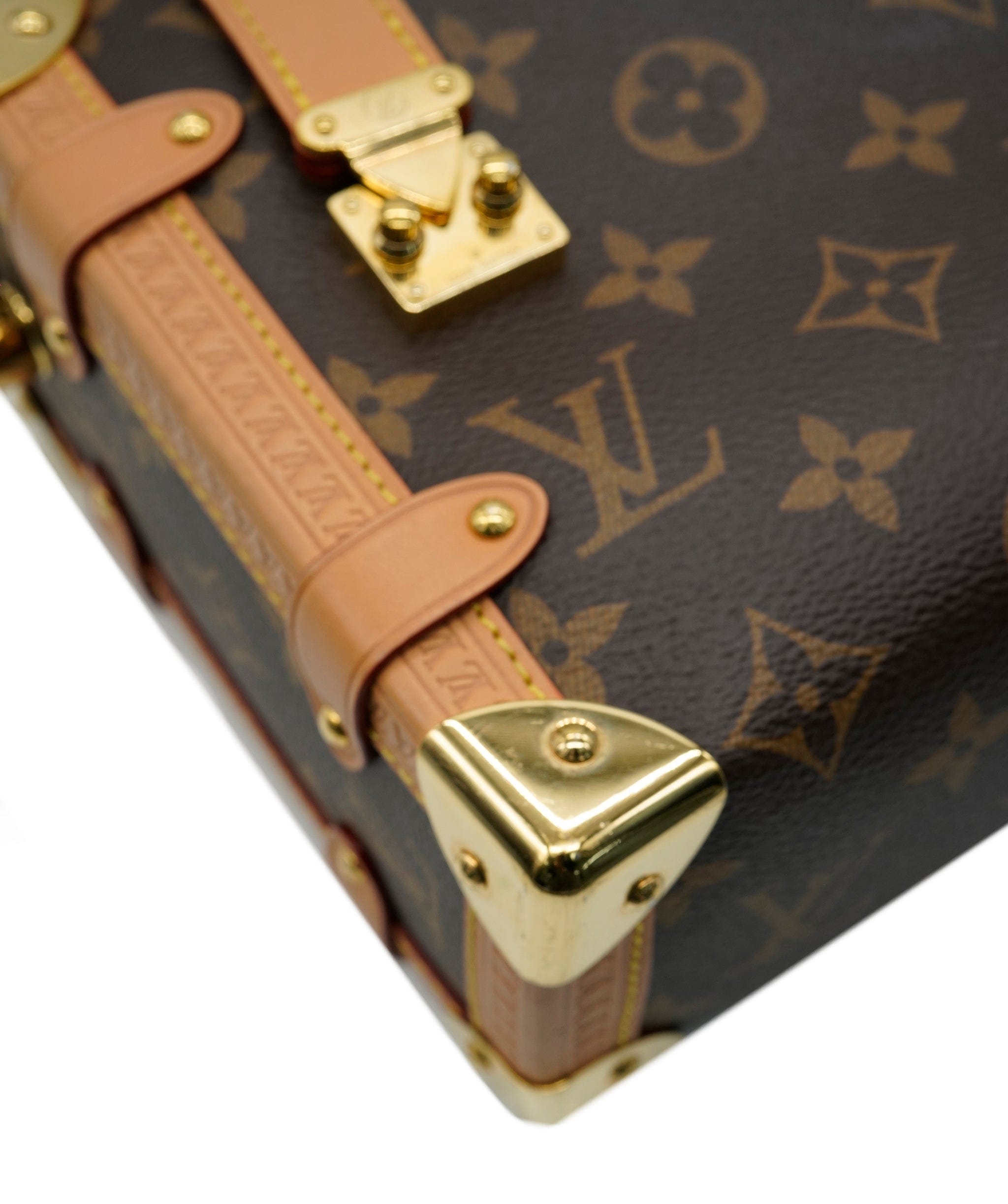 Louis Vuitton Louis Vuitton Soft Box Bag ALC2976