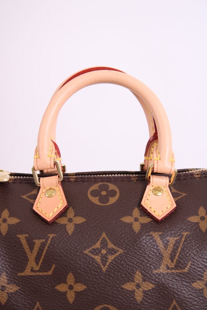 Louis Vuitton Louis Vuitton 2019 Nano Speedy Bag Brown Monogram