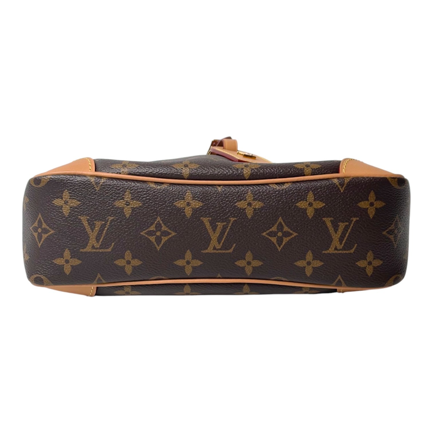 Louis Vuitton Louis Vuitton Odeon PM Hobo Bag