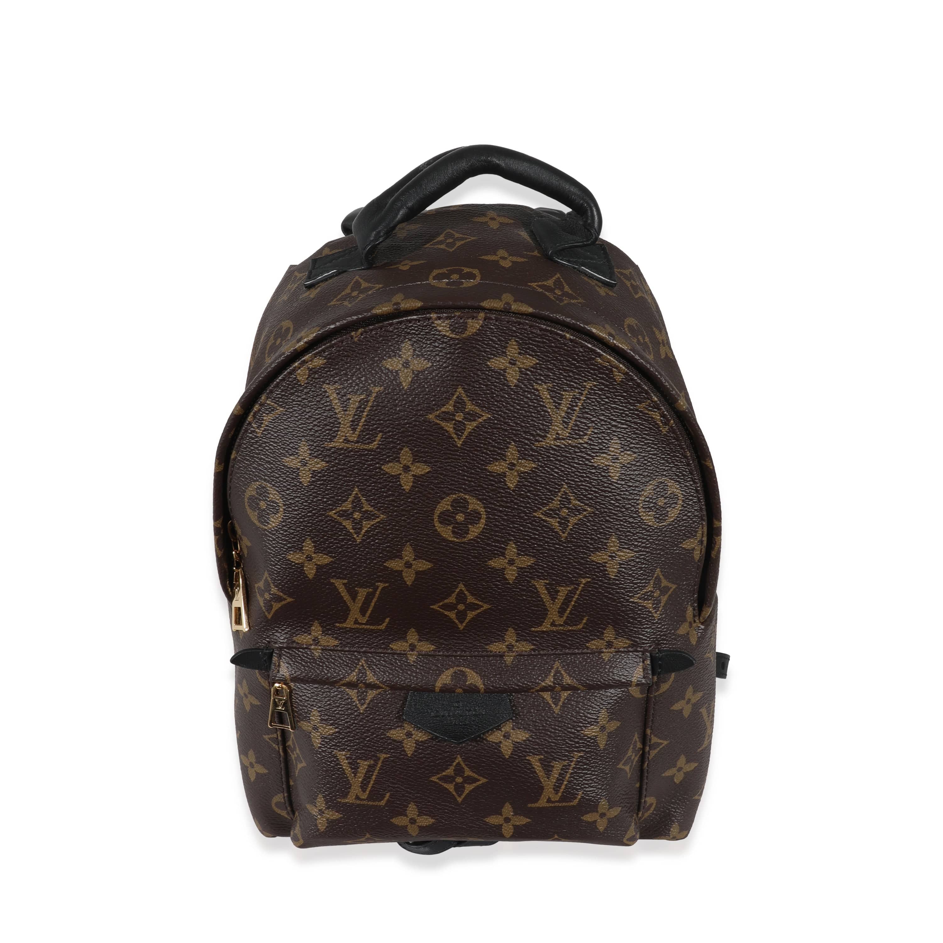 Louis Vuitton Palm Springs PM Backpack in Monogram Canvas
