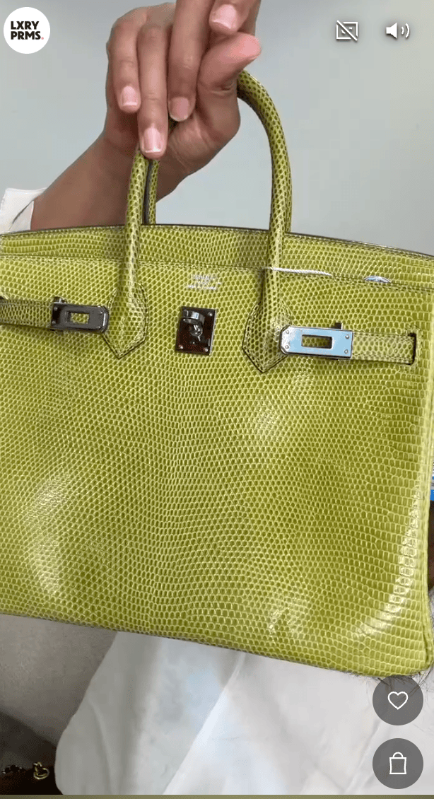 Luxury Promise Hermes B25 Lizard ALC4308