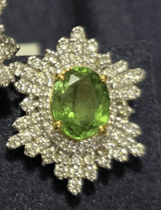 Luxury Promise Tsavorite Garnet Earrings SYCB28a