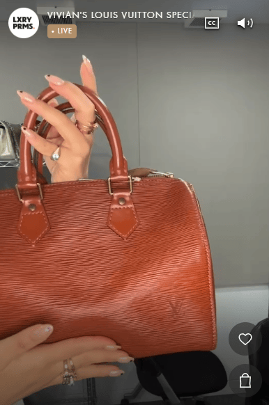 Luxury Promise Japan LOUIS VUITTON M43013 Puller Cracked Epi Speedy 25 Brown B1107X5V79