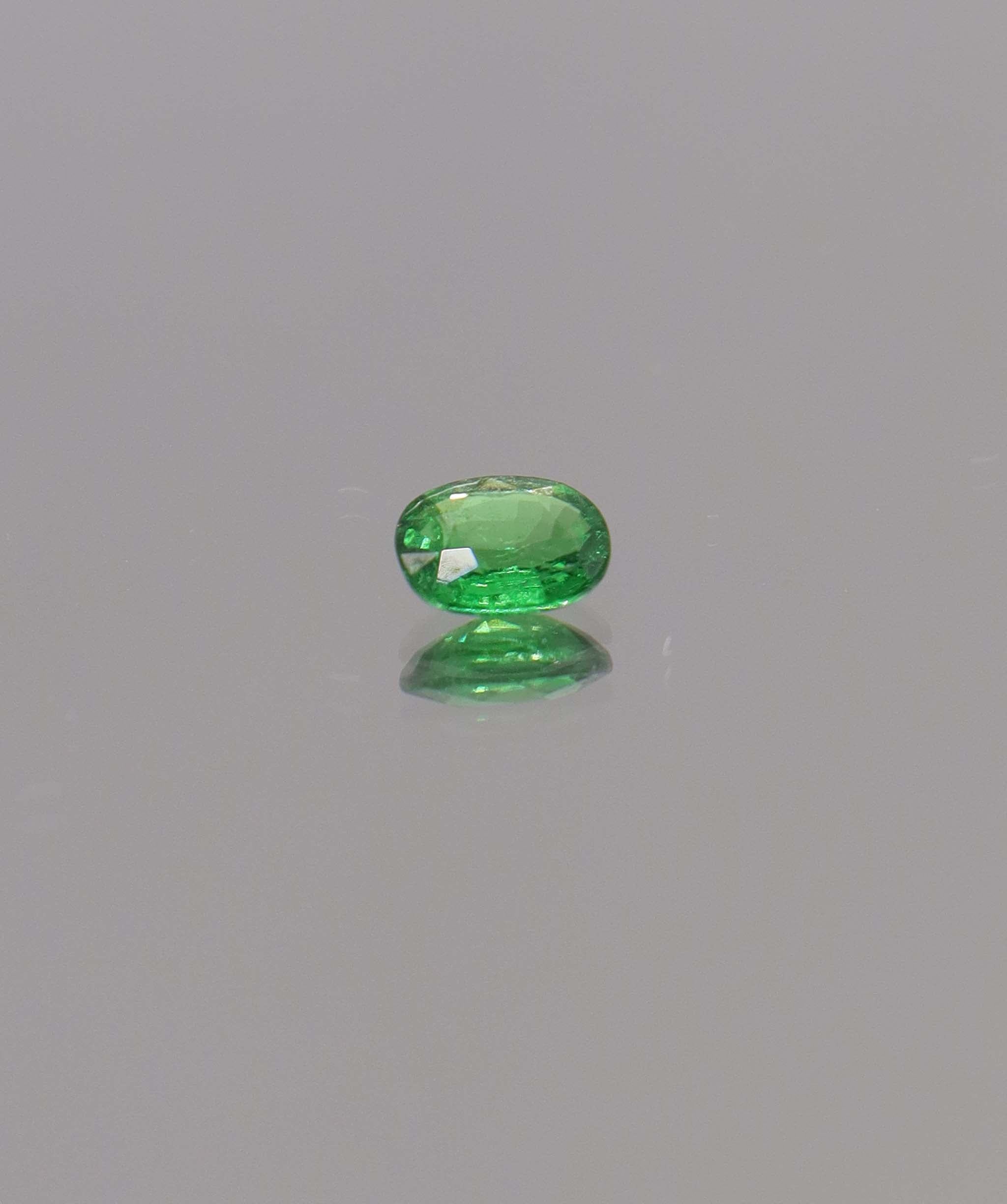 Luxury Promise 0.60ct Oval Tsavorite DXBCS1147