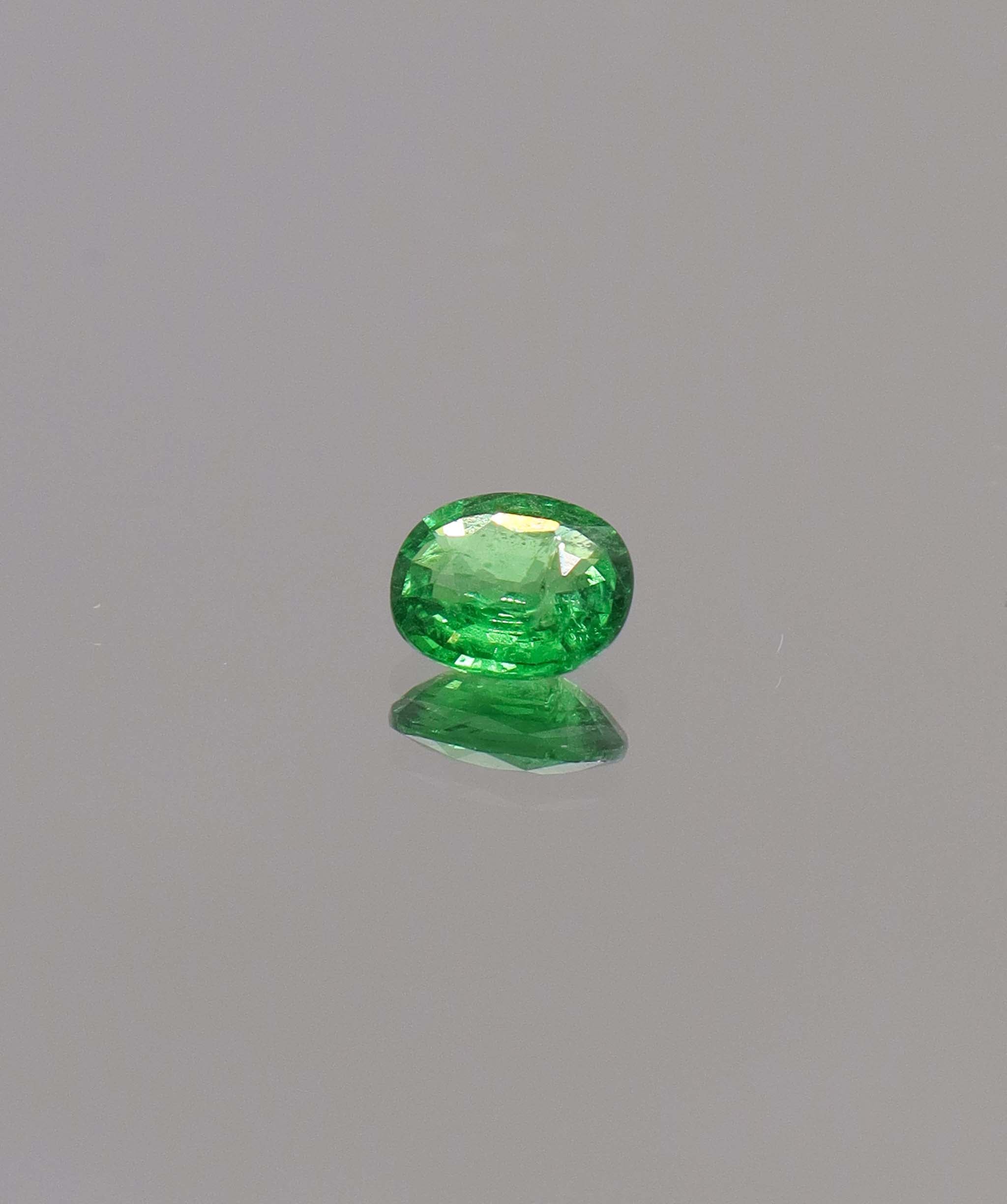 Luxury Promise 0.69ct Oval Tsavorite DXBCS1153