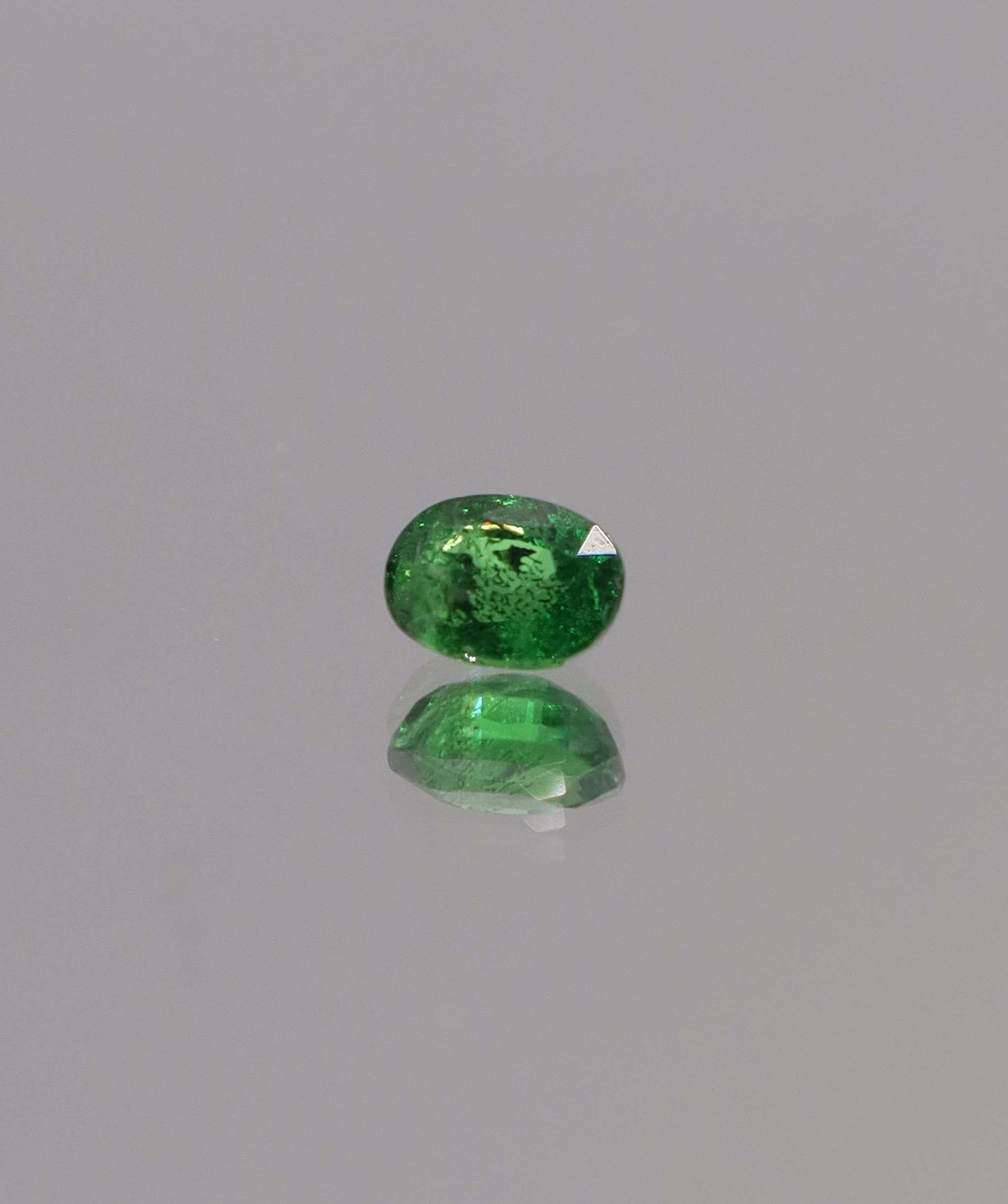 Luxury Promise 0.76ct Oval Tsavorite DXBCS1150