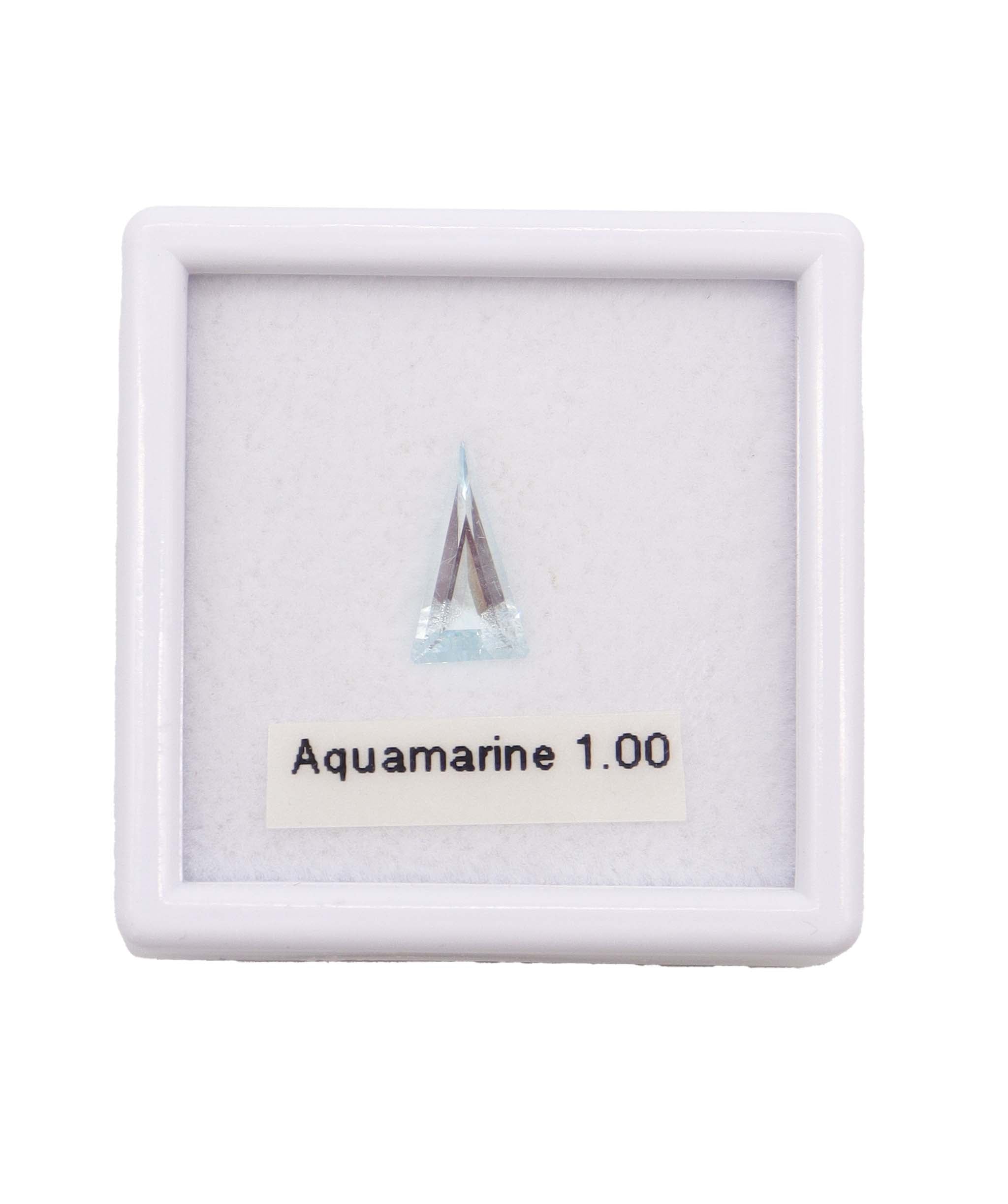 Luxury Promise 1.00ct Aquamarine Fancy Cut DXBD0194