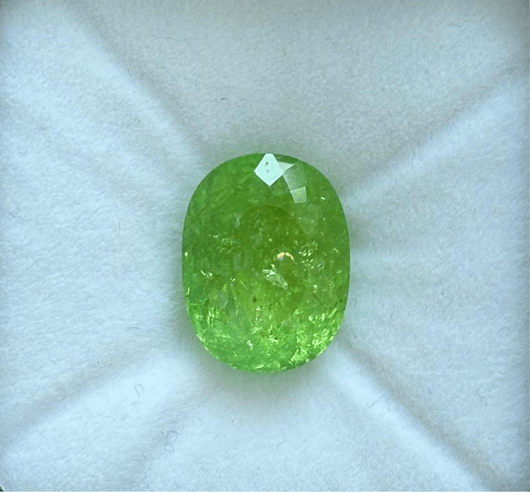 Luxury Promise 10.27ct Neon Green Paraiba Oval RDC0349