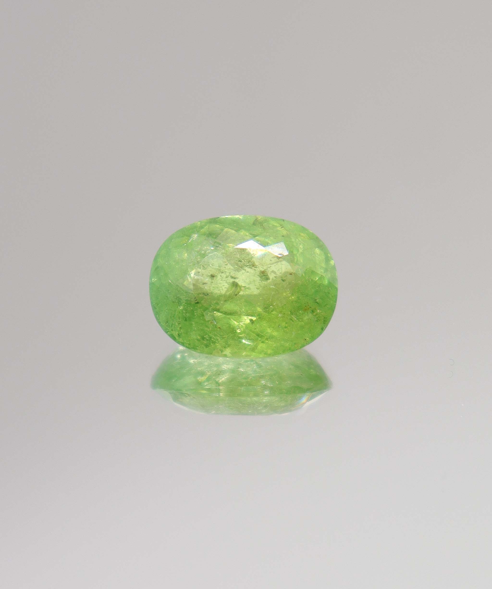 Luxury Promise 10.27ct Neon Green Paraiba Oval RDC0349