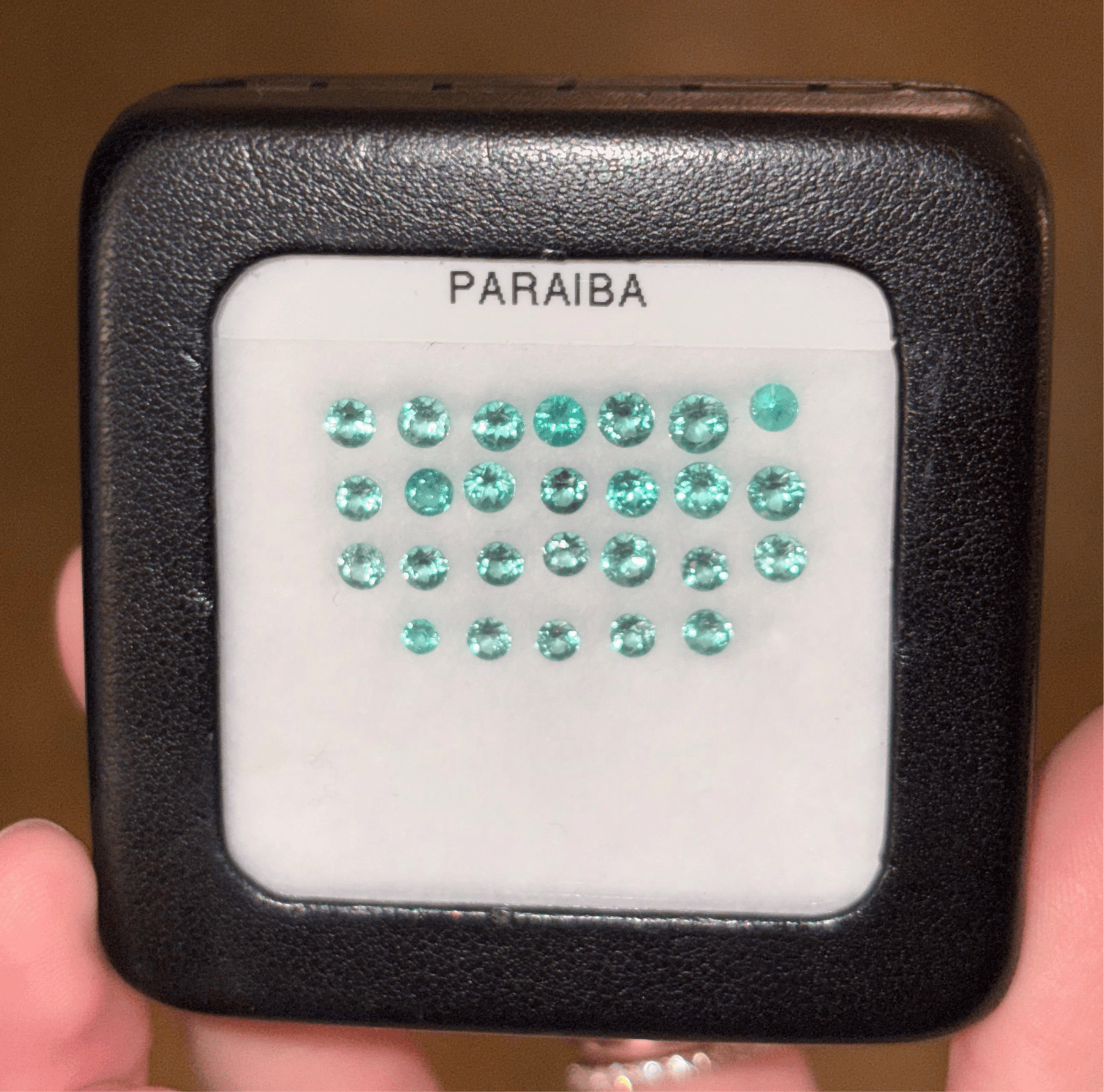 Luxury Promise 2.71ct Paraiba Lot DXBCD0346