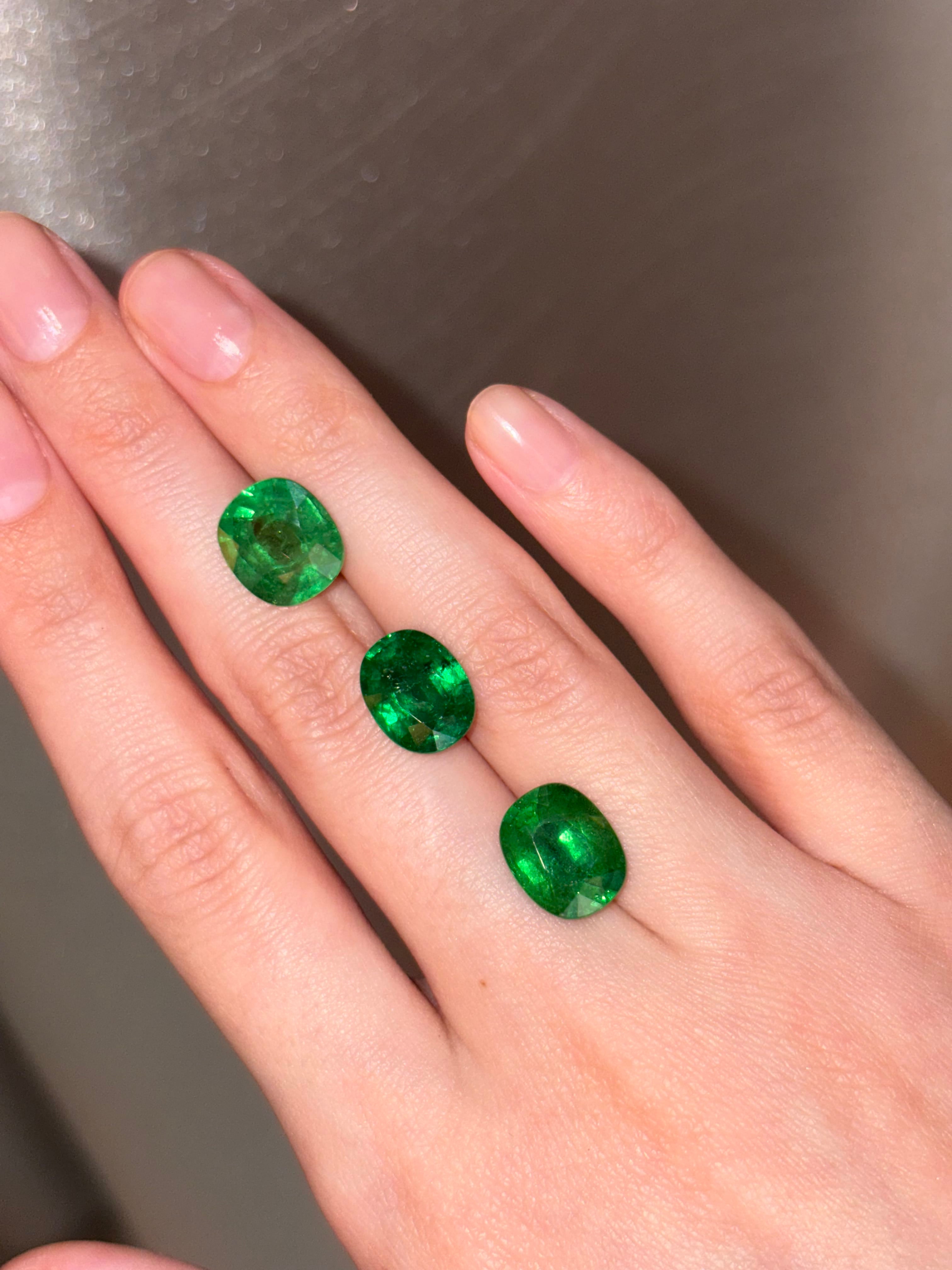 Luxury Promise 4.57ct Tsavorite with certificate DXBCS4762