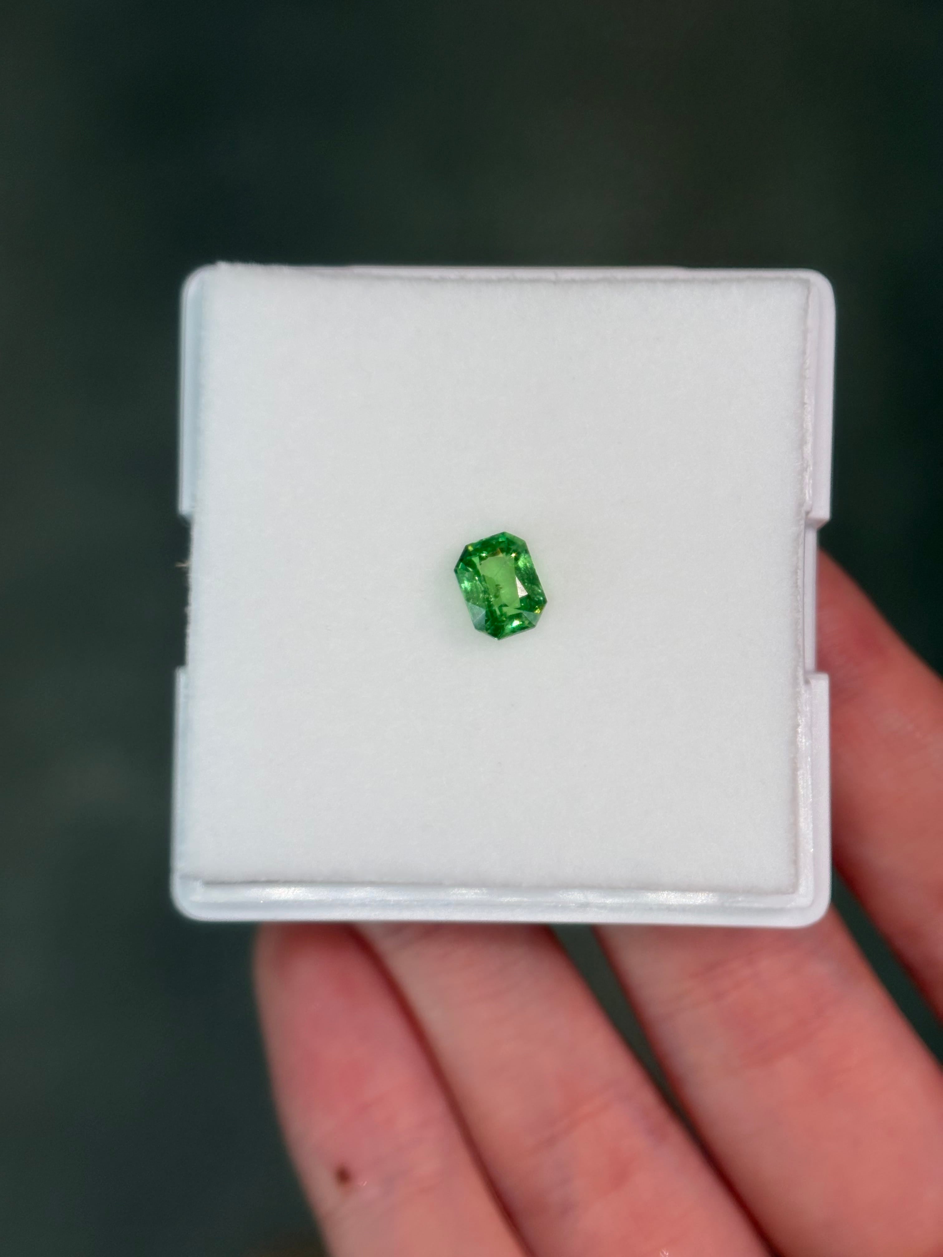 Luxury Promise 0.97ct Tsavorite Cushion DXBCS5935