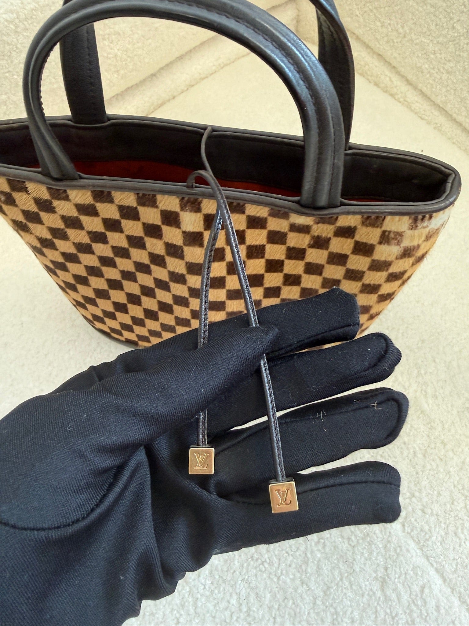 LUXURY PROMISE Vintage Louis Vuitton Damier Sauvage Mini Tote