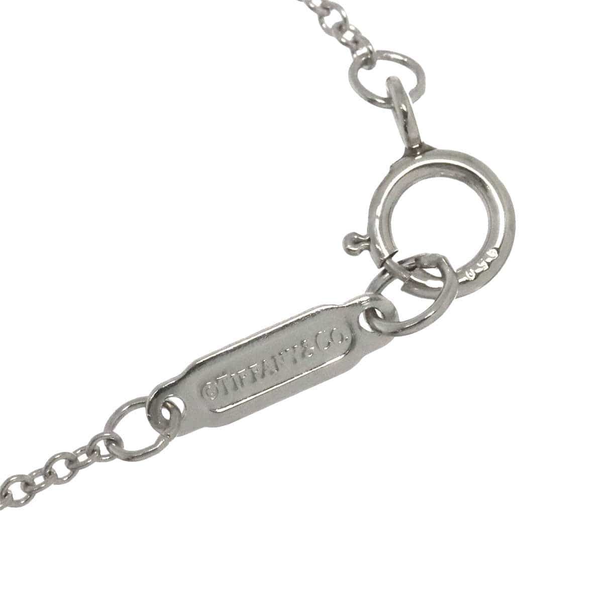 TIFFANY Co. TIFFANY Co. Bezel Set Diamond Necklace Platinum 90291527
