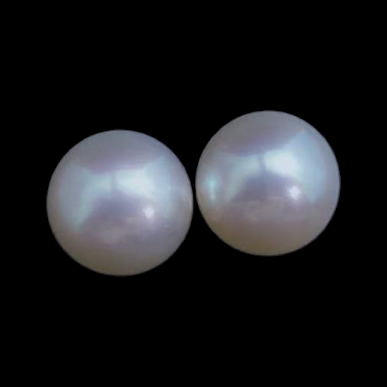 Akoya Pearl 7.2mm Earrings set in 18K Yellow Gold