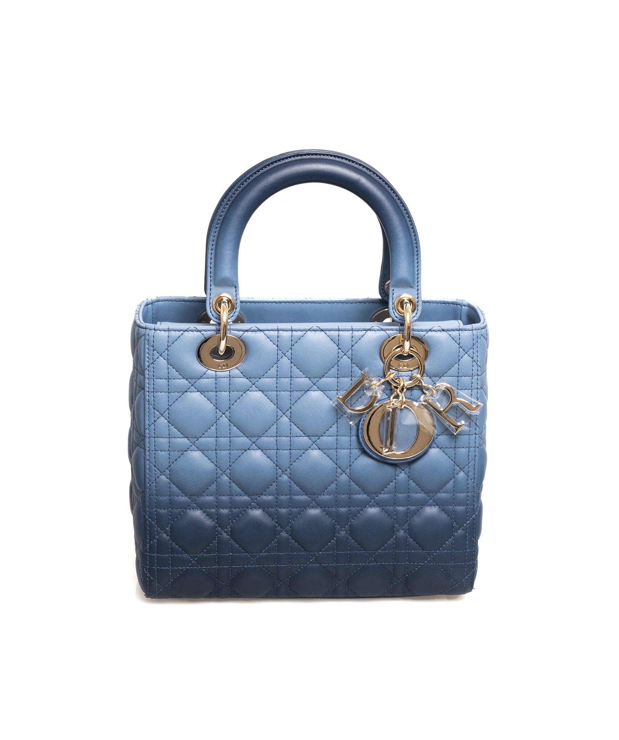Speedy travel bag Dior Blue in Cotton - 29778980